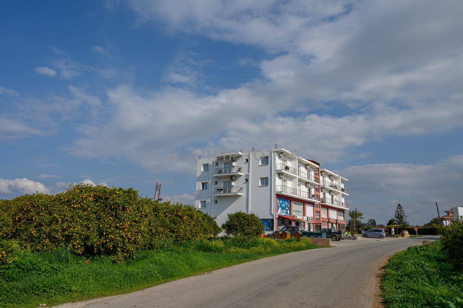 A bright and inviting setting where a contemporary building stands alongside a winding road, surrounded by nature.