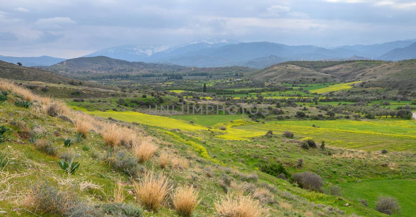 Rolling hills burst with shades of green and yellow, showcasing nature's beauty under a moody, overcast sky.
