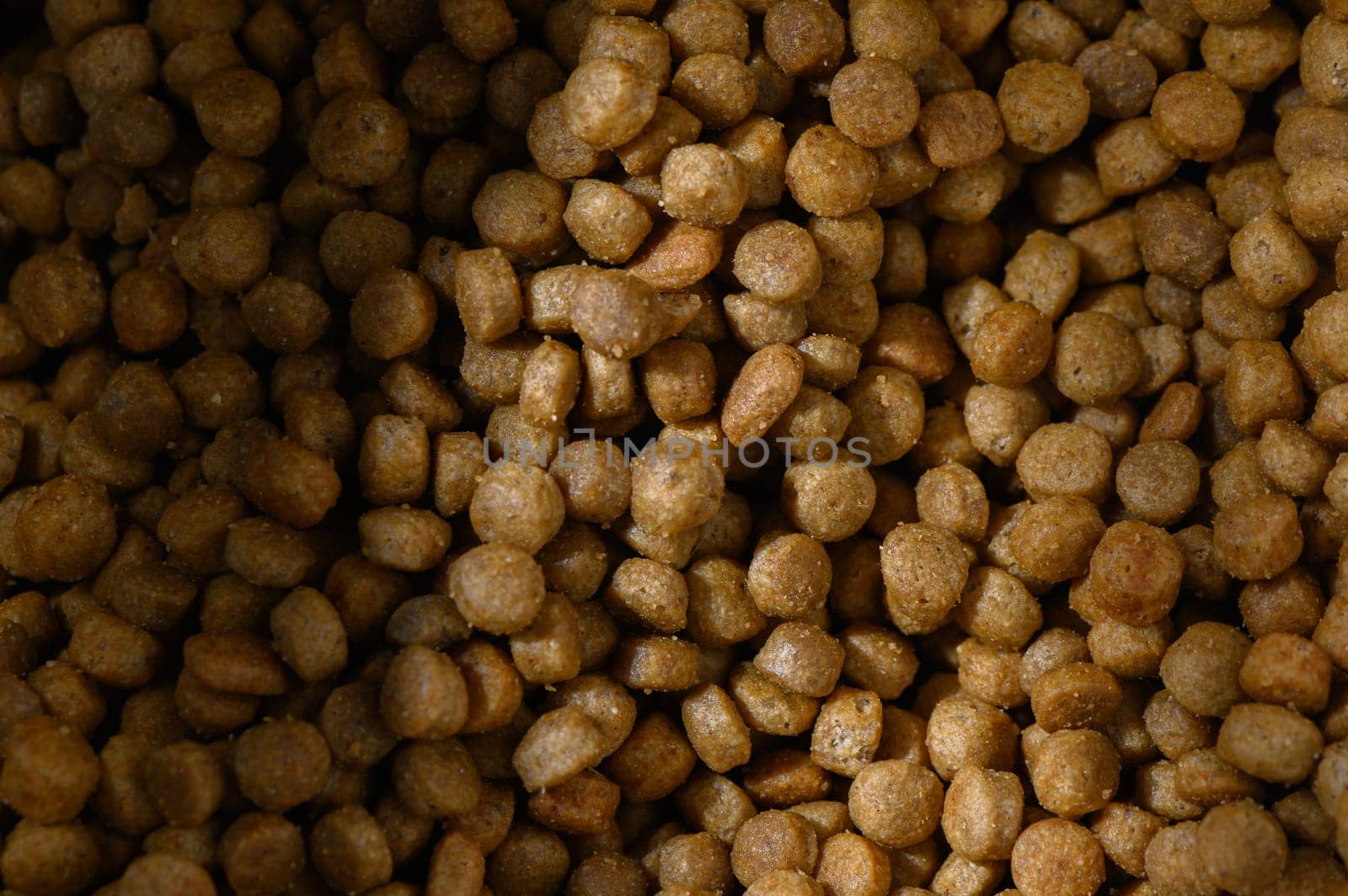 Nourishing dog food fills a spacious container, providing energy and health for playful pets at mealtime.