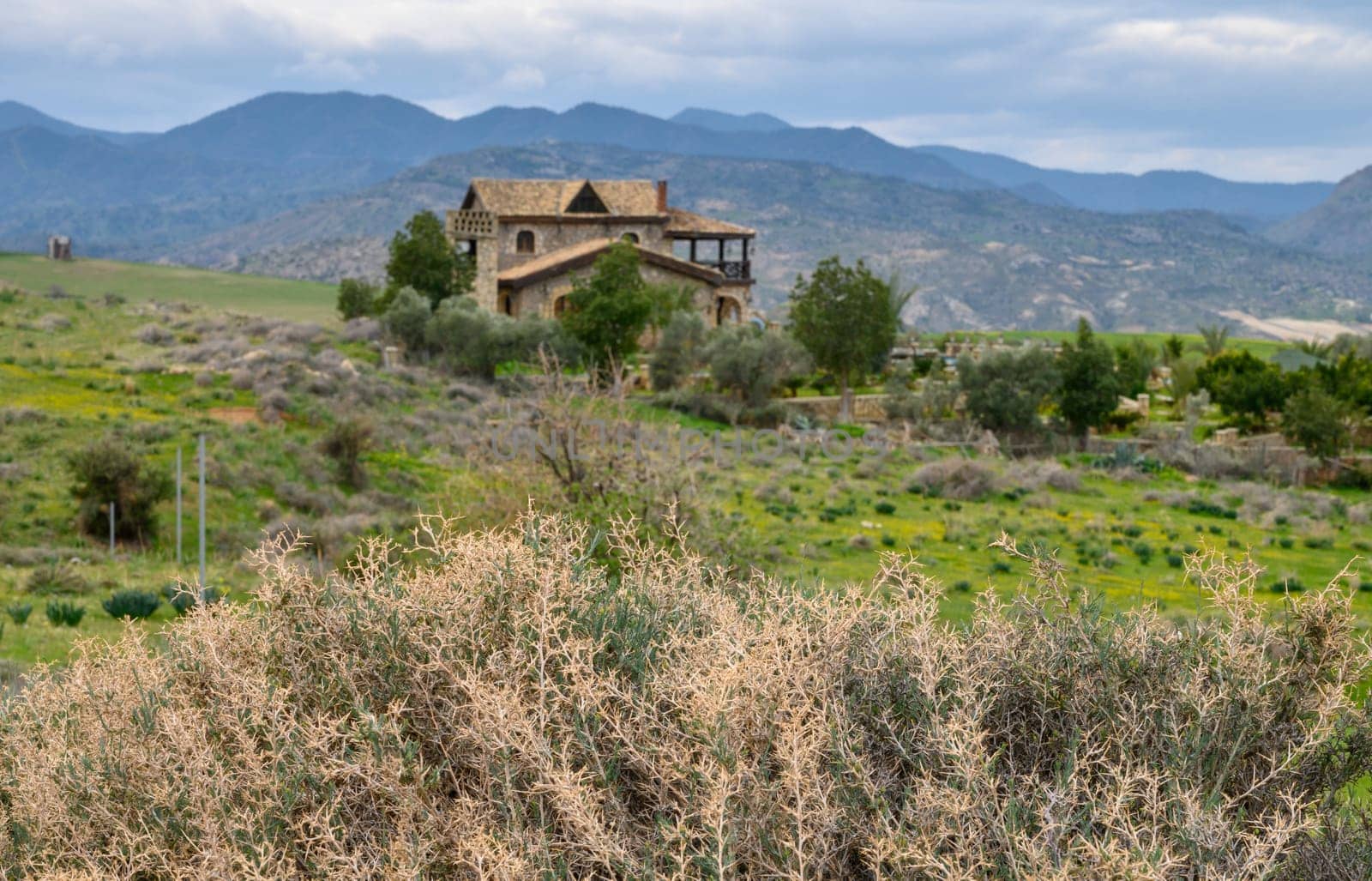 A rustic house blends seamlessly into a vibrant green landscape, surrounded by mountains under a cloudy sky.