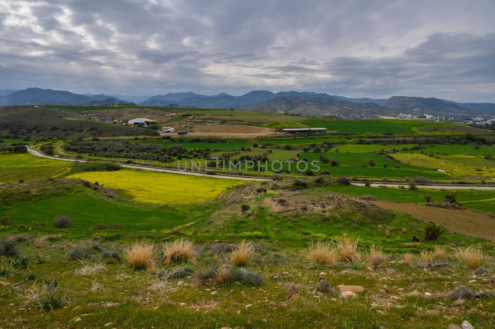 Rolling hills adorned with vibrant green fields and patches of yellow bloom under a moody sky invite tranquility.