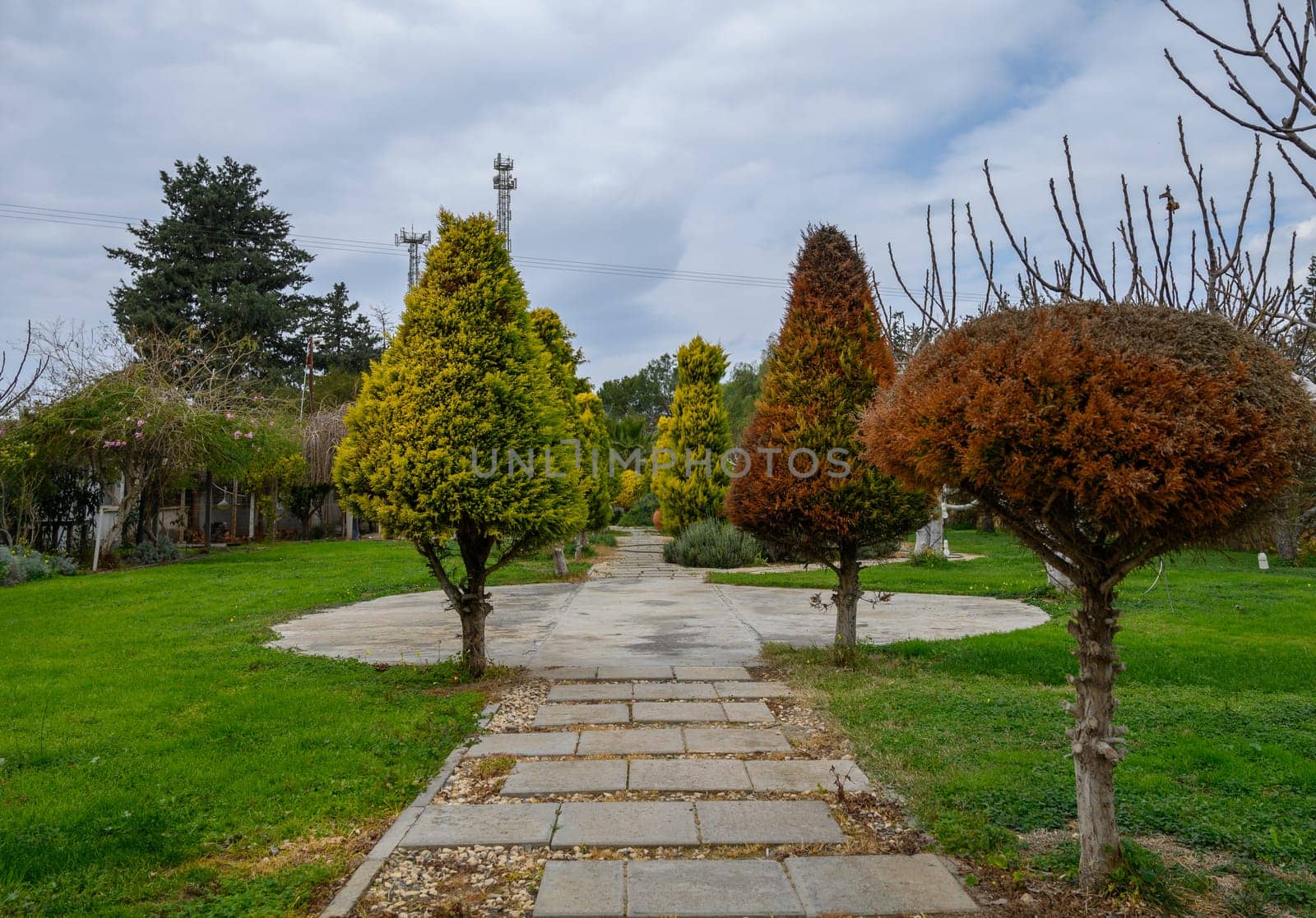 Walking along a peaceful stone pathway surrounded by lush greenery and uniquely trimmed trees creates a tranquil escape.