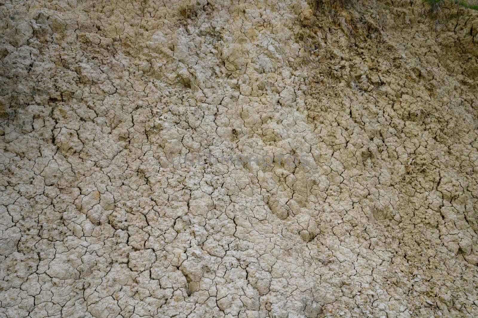Dried and parched soil reveals intricate patterns under the bright midday sun in a desolate rural area.