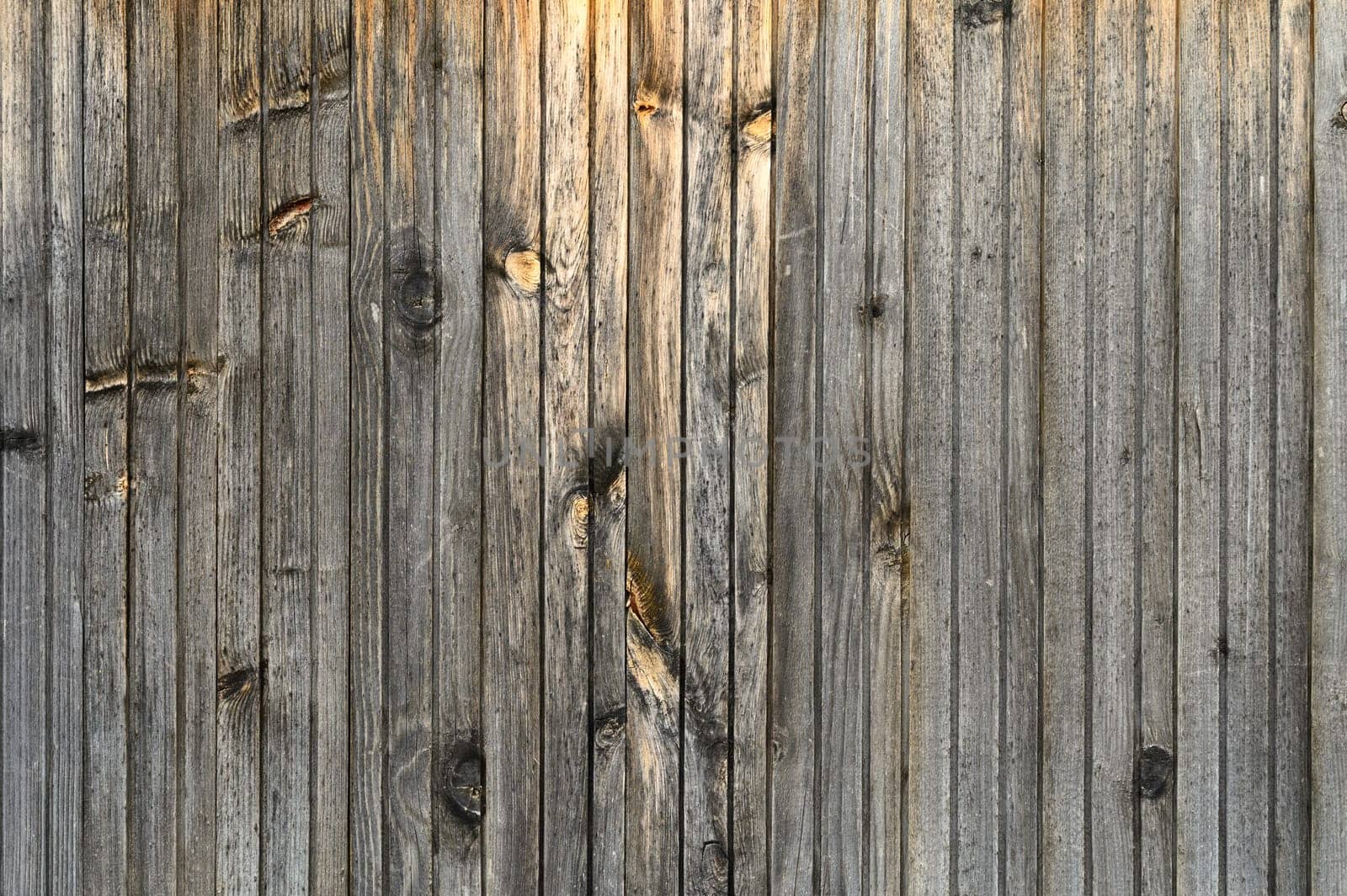 Unique textures and patterns emerge from the aged wood, capturing the essence of natural elegance during sunset.
