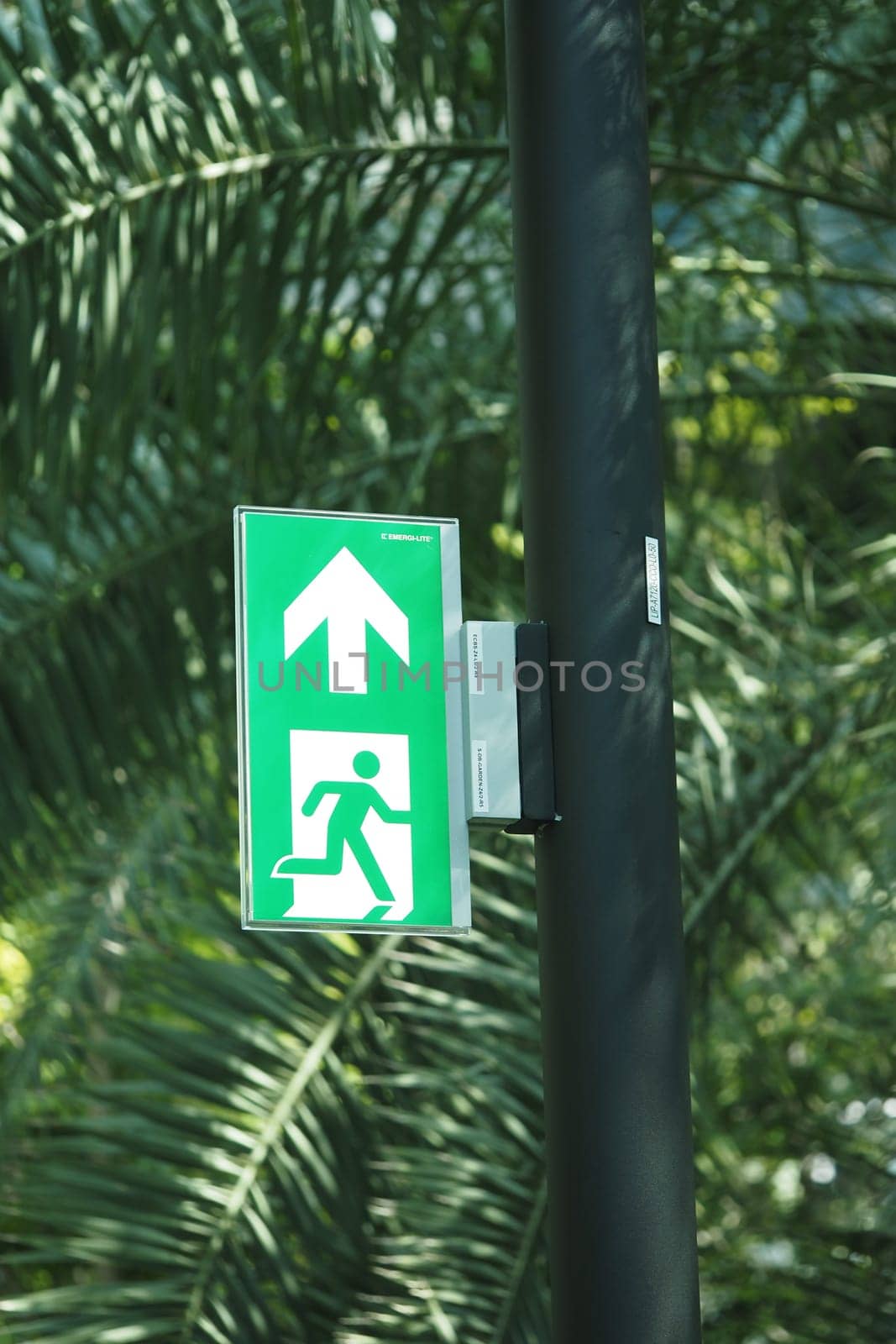 Bright green emergency exit sign with an arrow in a tropical location.
