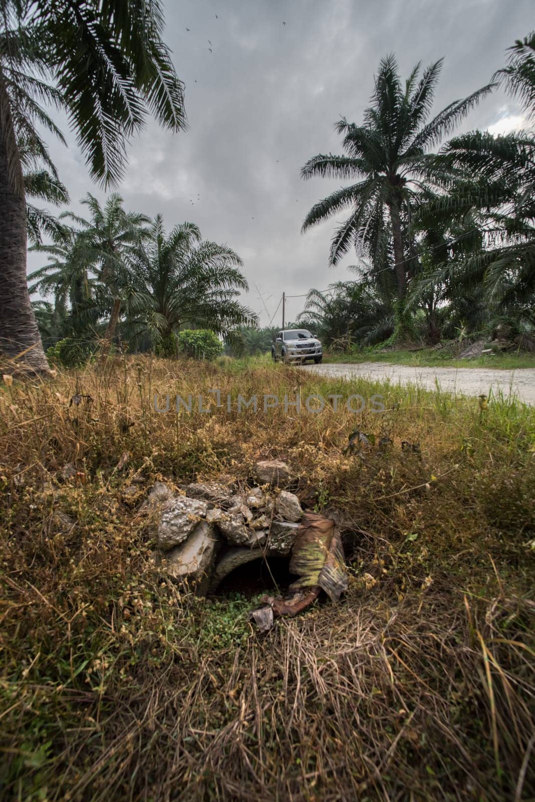 wide panoramic agriculture landscape scene around the vicinity of rural pathway road.