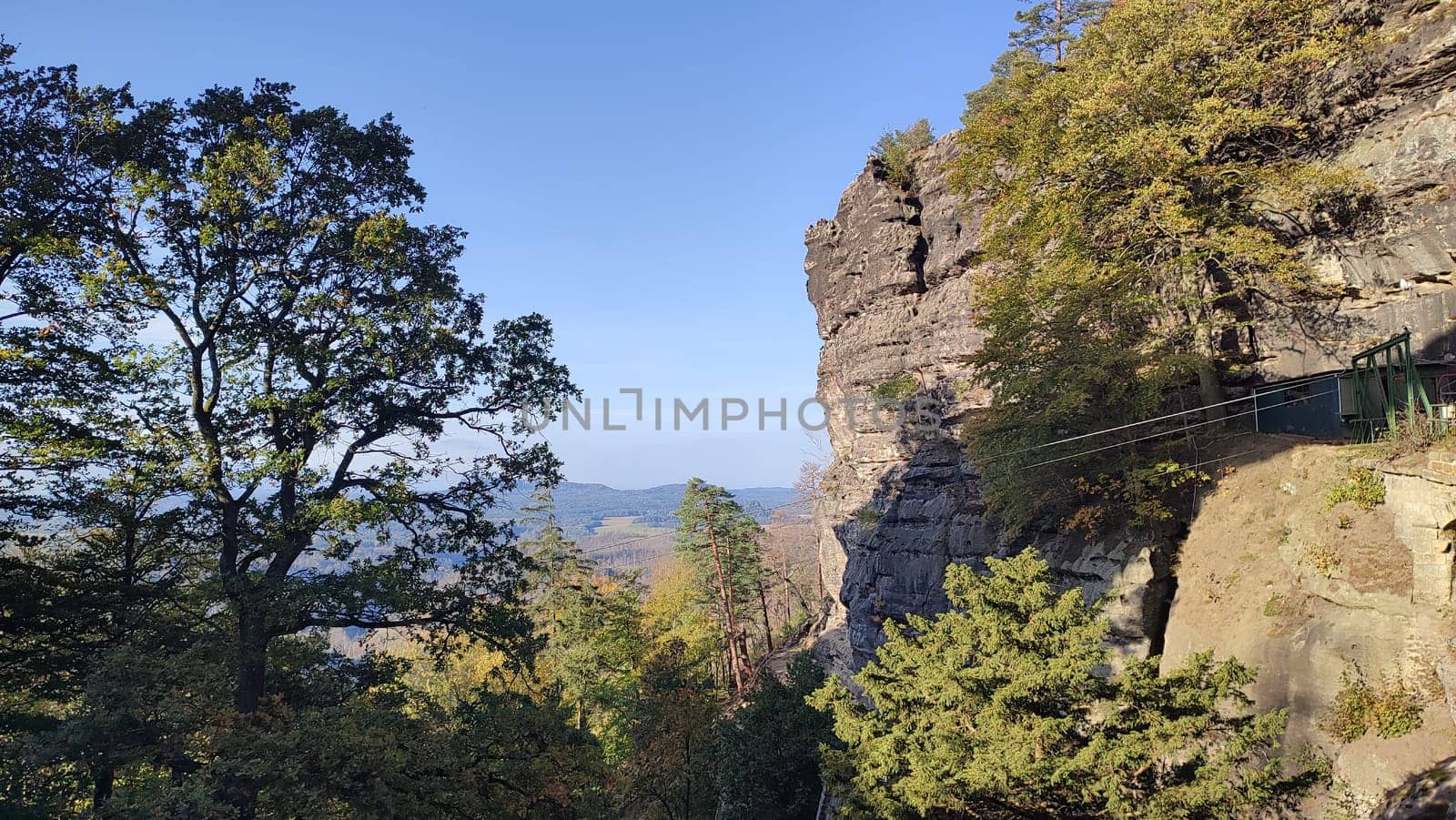 Trees rocky landscape green nature summer background street autumn travel Europe Czech Republic Hrensko . High quality photo