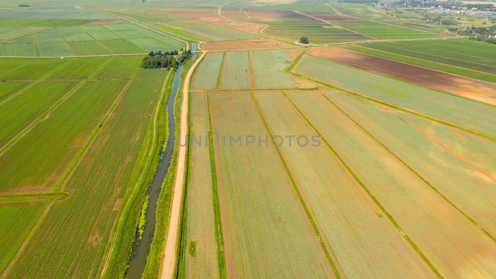 Top view agricultural landscape areas. Green crops in field in early summer.