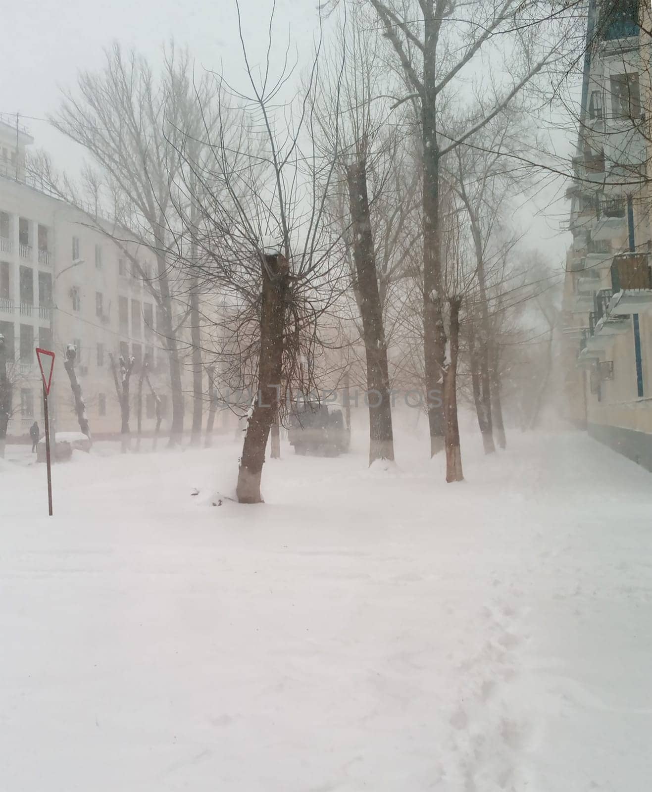 snowy city street with bare trees in snowy weather