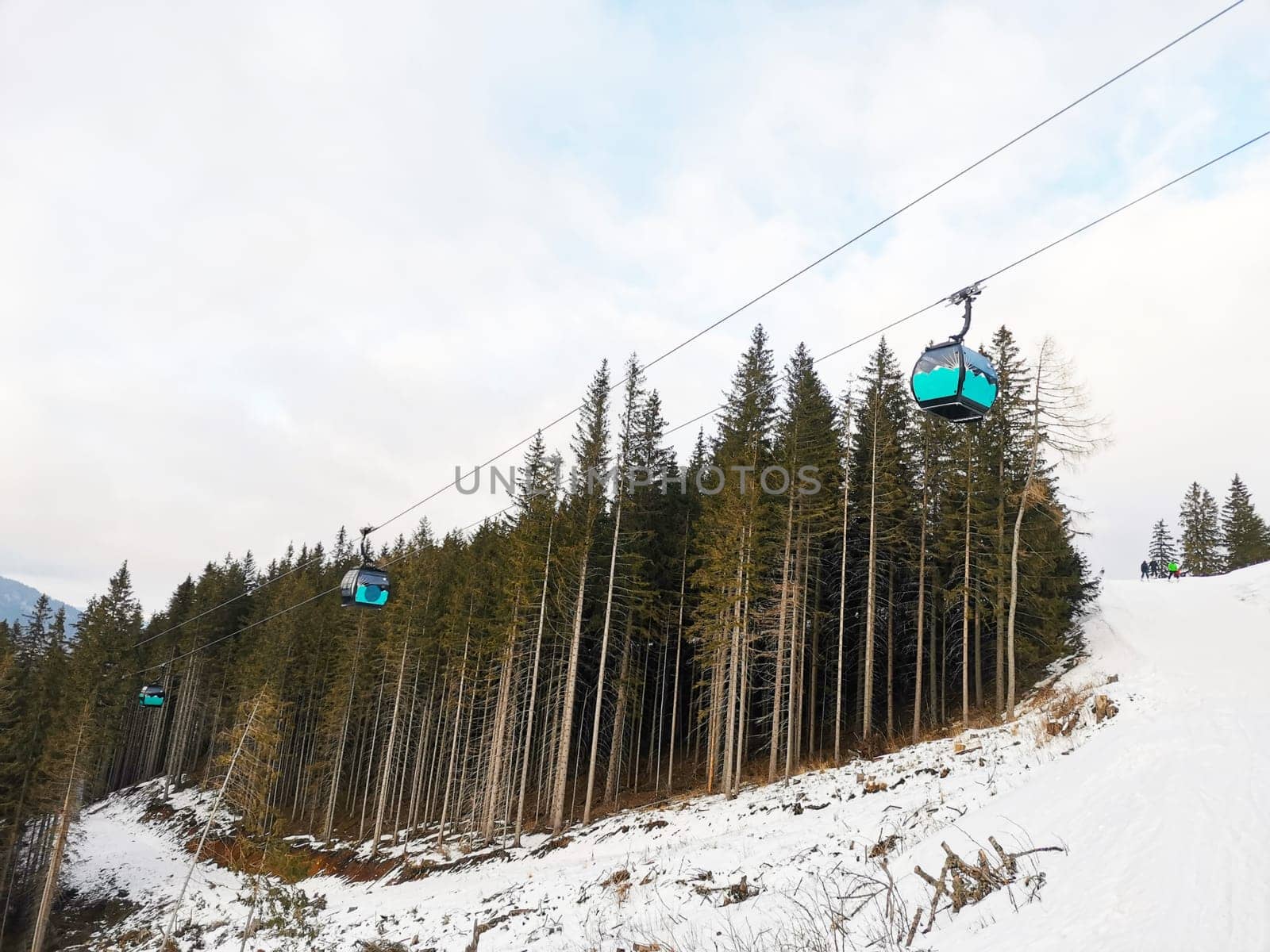 Closed cabins of the cable car at ski resort. Winter ski run. Cable car against the background of a pine forest