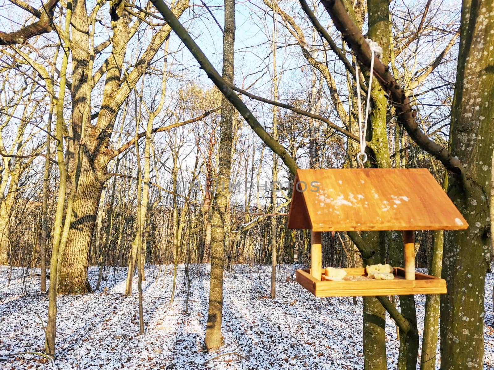 Wooden eco bird feeder in the winter forest. Clear frosty day. Feeding wild birds
