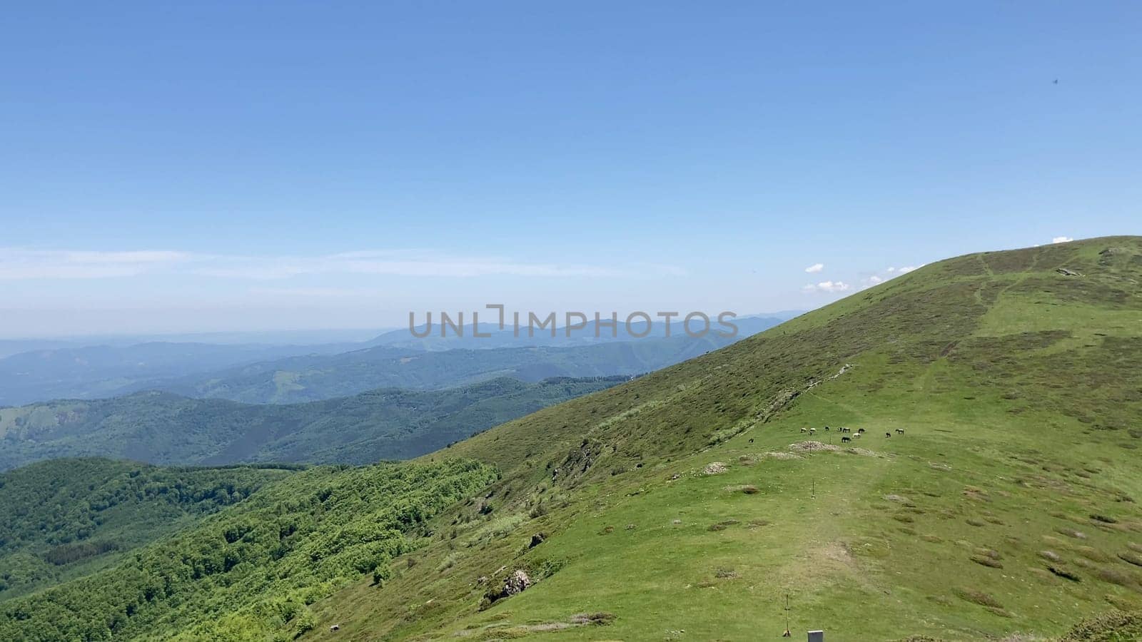 Kozya Stena in the Balkan Mountains, Bulgaria. Lush green hills and valleys stretch as far as the eye can see on a clear summer day - Europe.