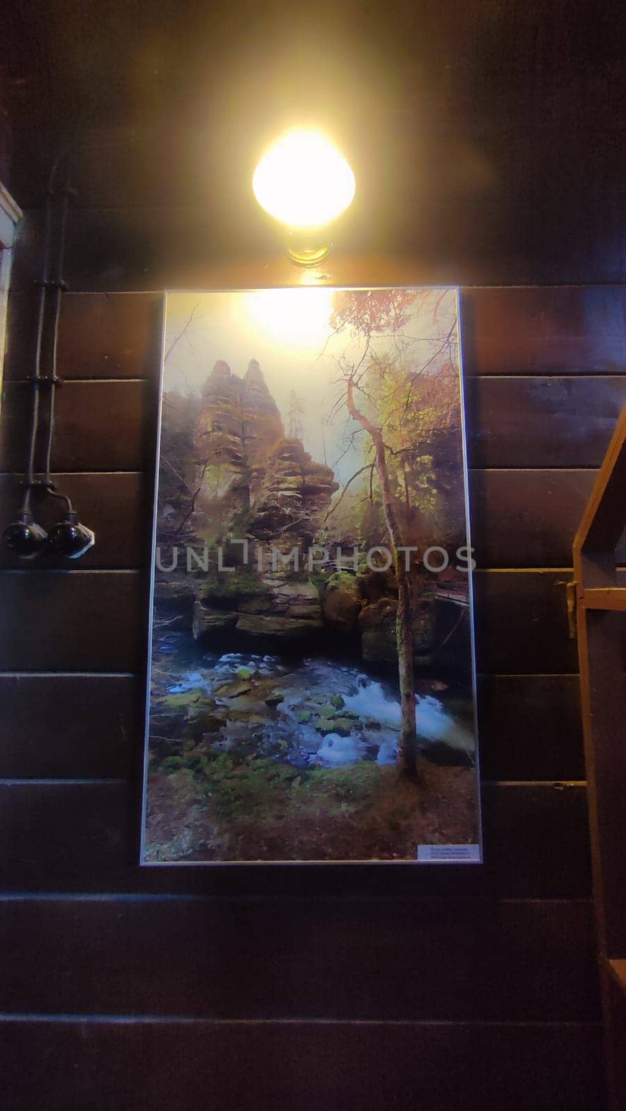 Nature forest painting art lamp black background . High quality photo