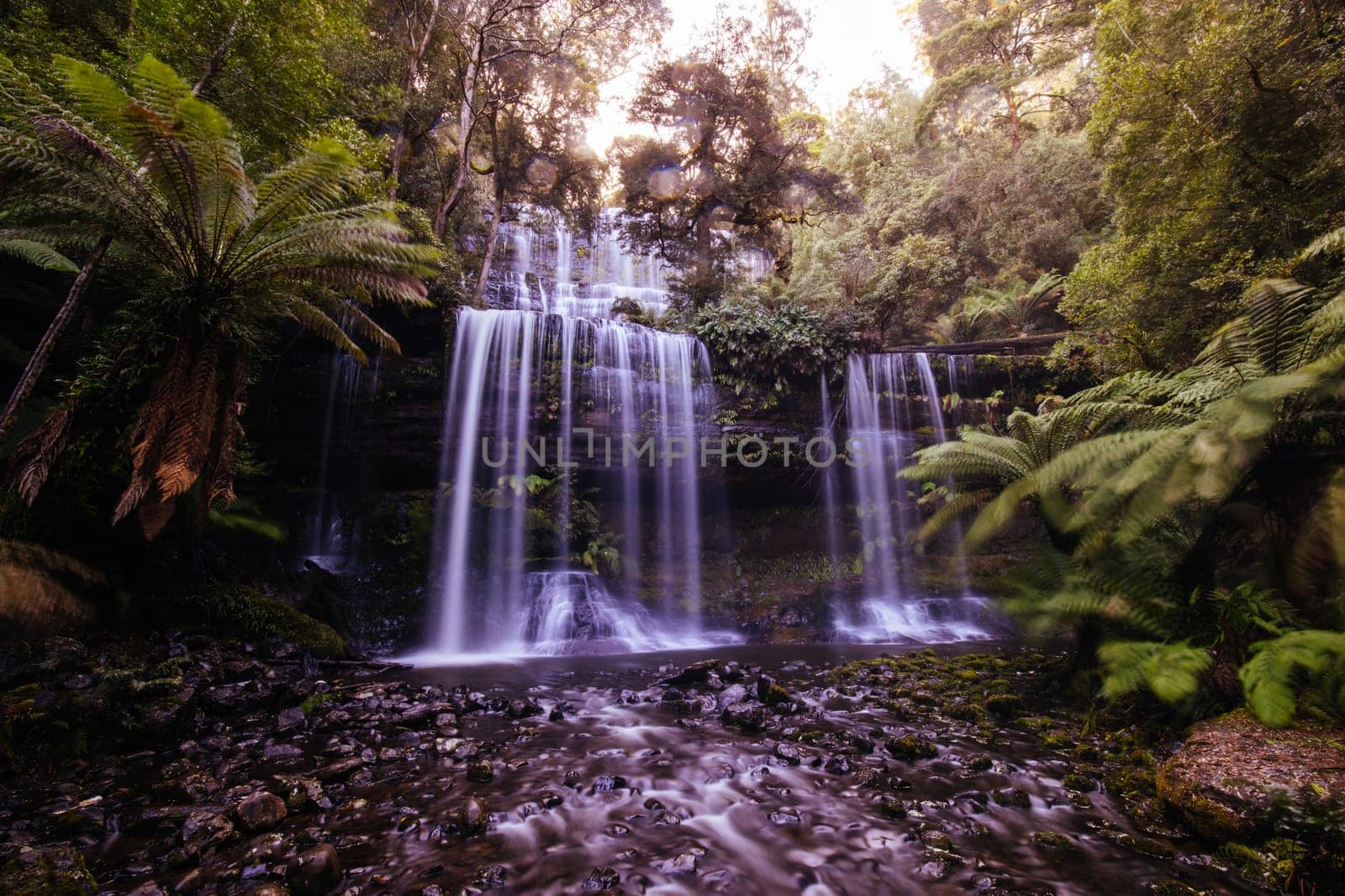The majestic Russell Falls in Mt Field National Park on a cold spring afternoon in Tasmania, Australia