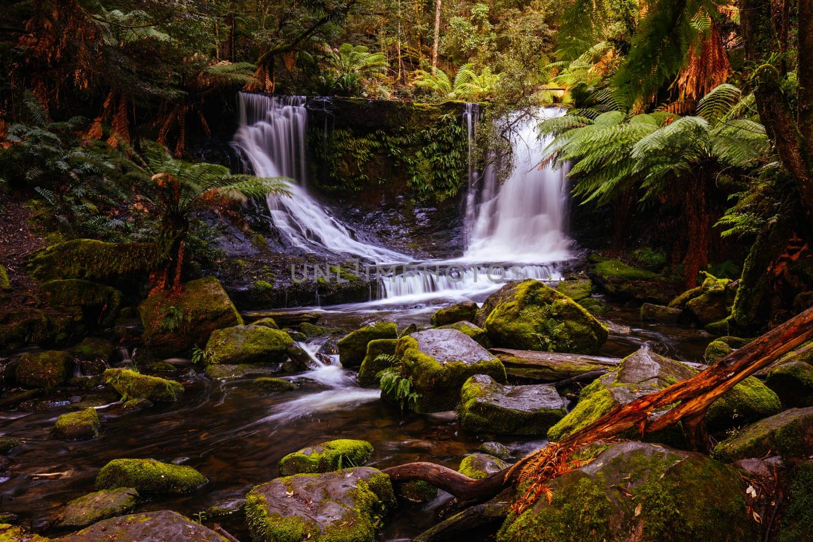 The majestic Horseshoe Falls in Mt Field National Park on a cold spring afternoon in Tasmania, Australia