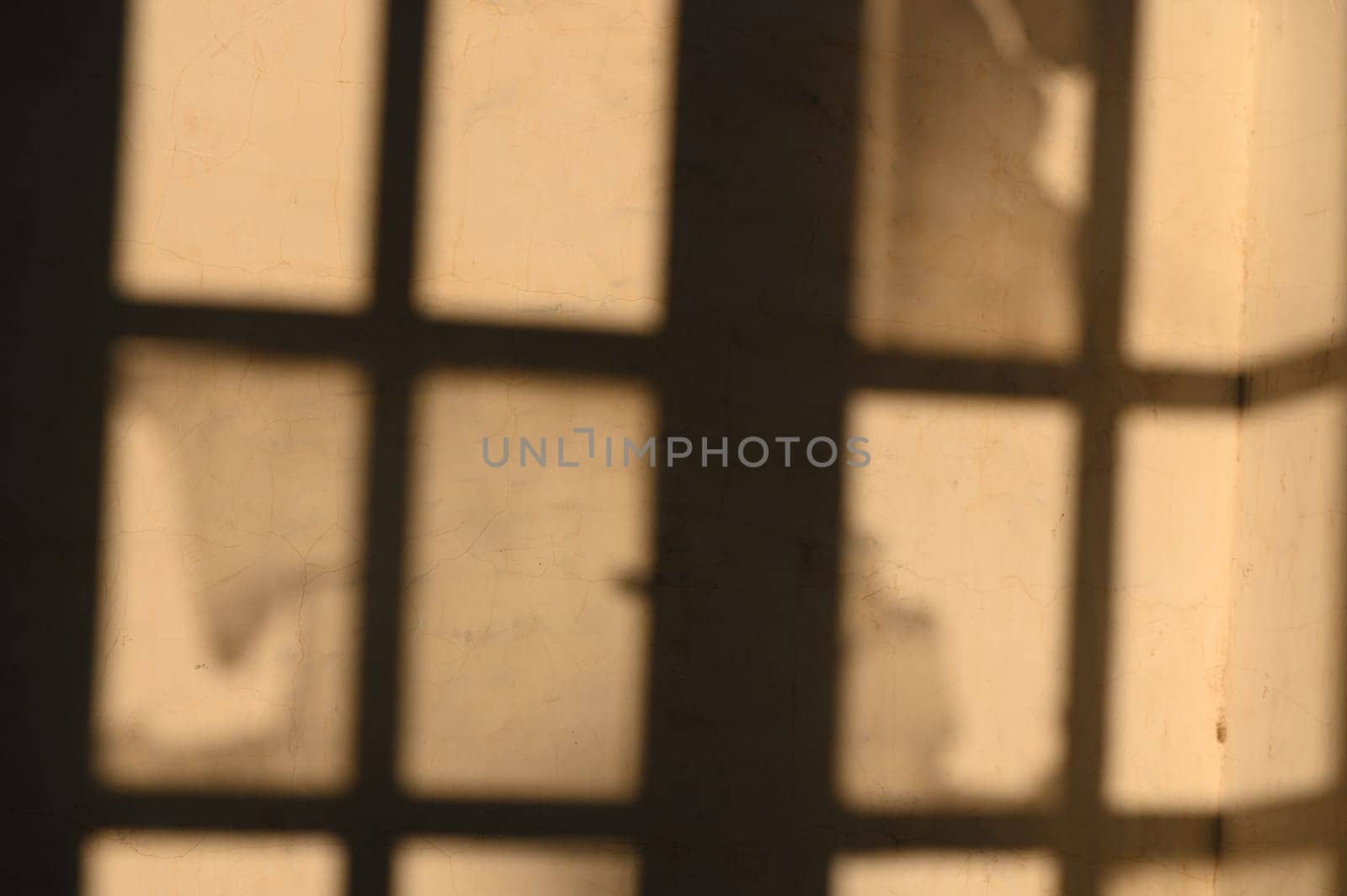Filtered sunlight creates intricate shadows on the rustic wall, evoking a nostalgic tapestry of shapes.