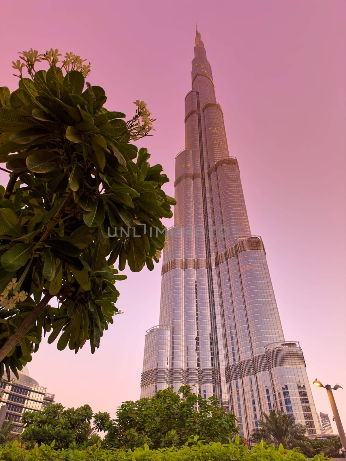 UAE, Dubai, 19 December 2024: The famous Burj Khalifa skyscraper at dusk, Dubai's sights during the incredible sunset sky, skyscrapers illuminated at night, pink sky, palm trees. High quality photo
