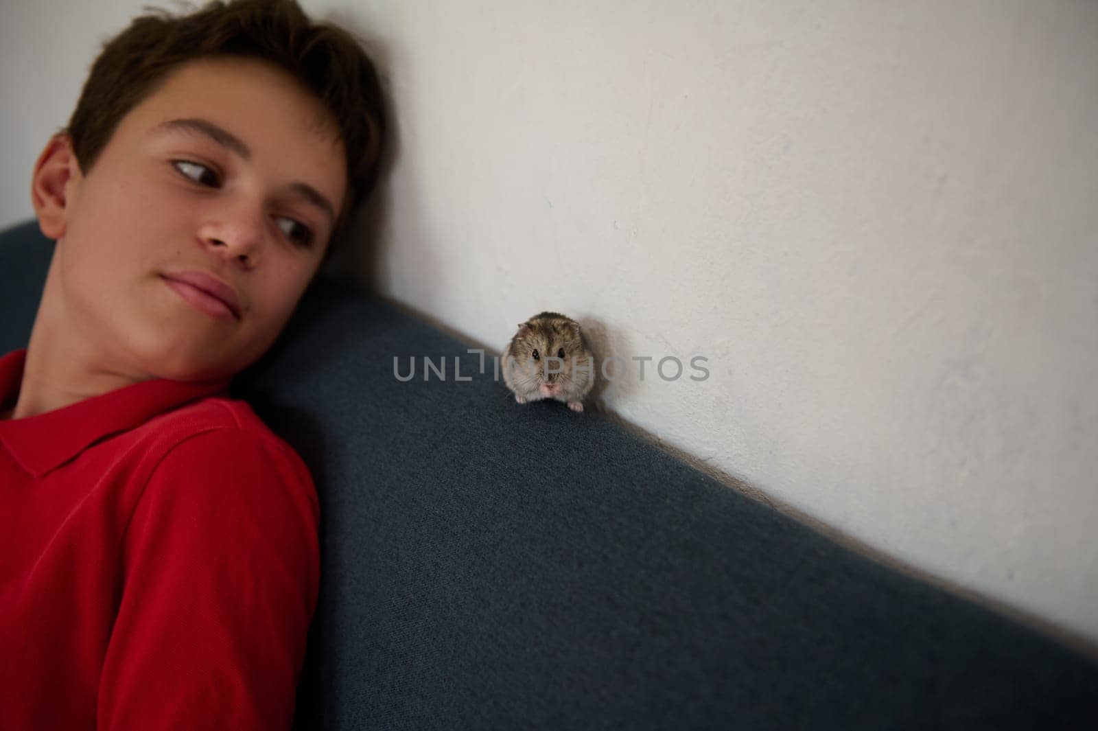 A young boy in a red shirt looks with fascination at a pet hamster on the couch, showcasing a moment of connection between humans and animals.