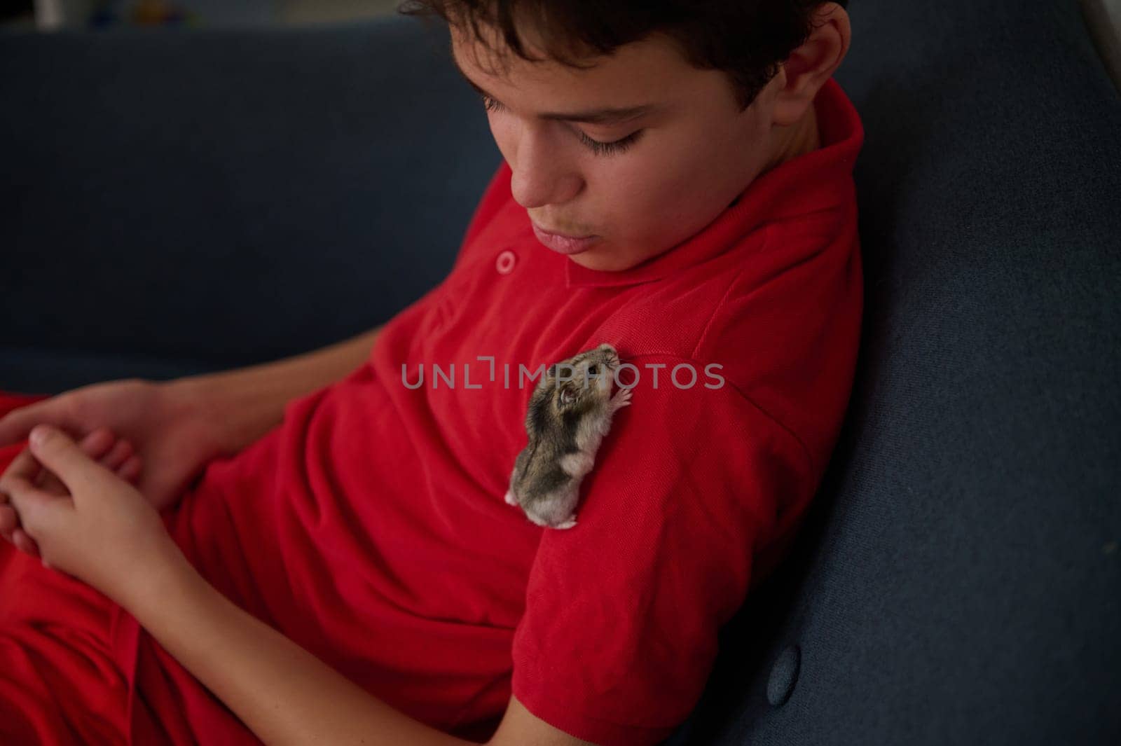 A young boy in a red shirt sitting on a couch with a pet hamster on his shoulder, creating a moment of connection and curiosity.
