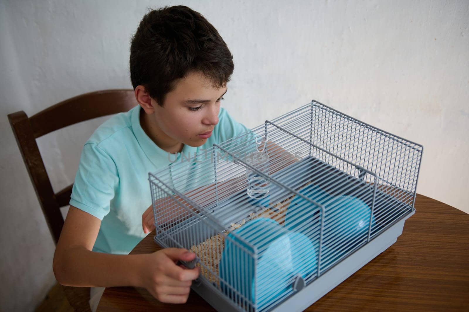 A boy watches closely as he interacts with his small pet housed in a wire cage, showcasing their bond and care. The setting is a simple indoor environment that emphasizes their connection.
