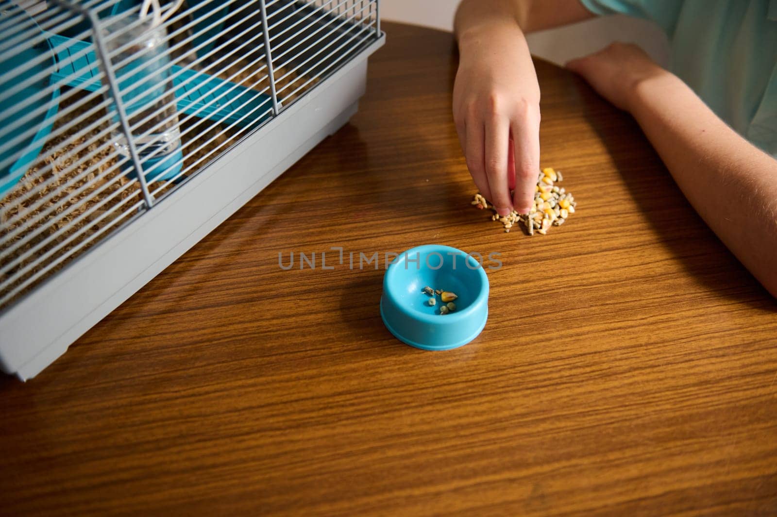 A hand placing seeds into a blue bowl near a small pet cage resting on a wooden surface.