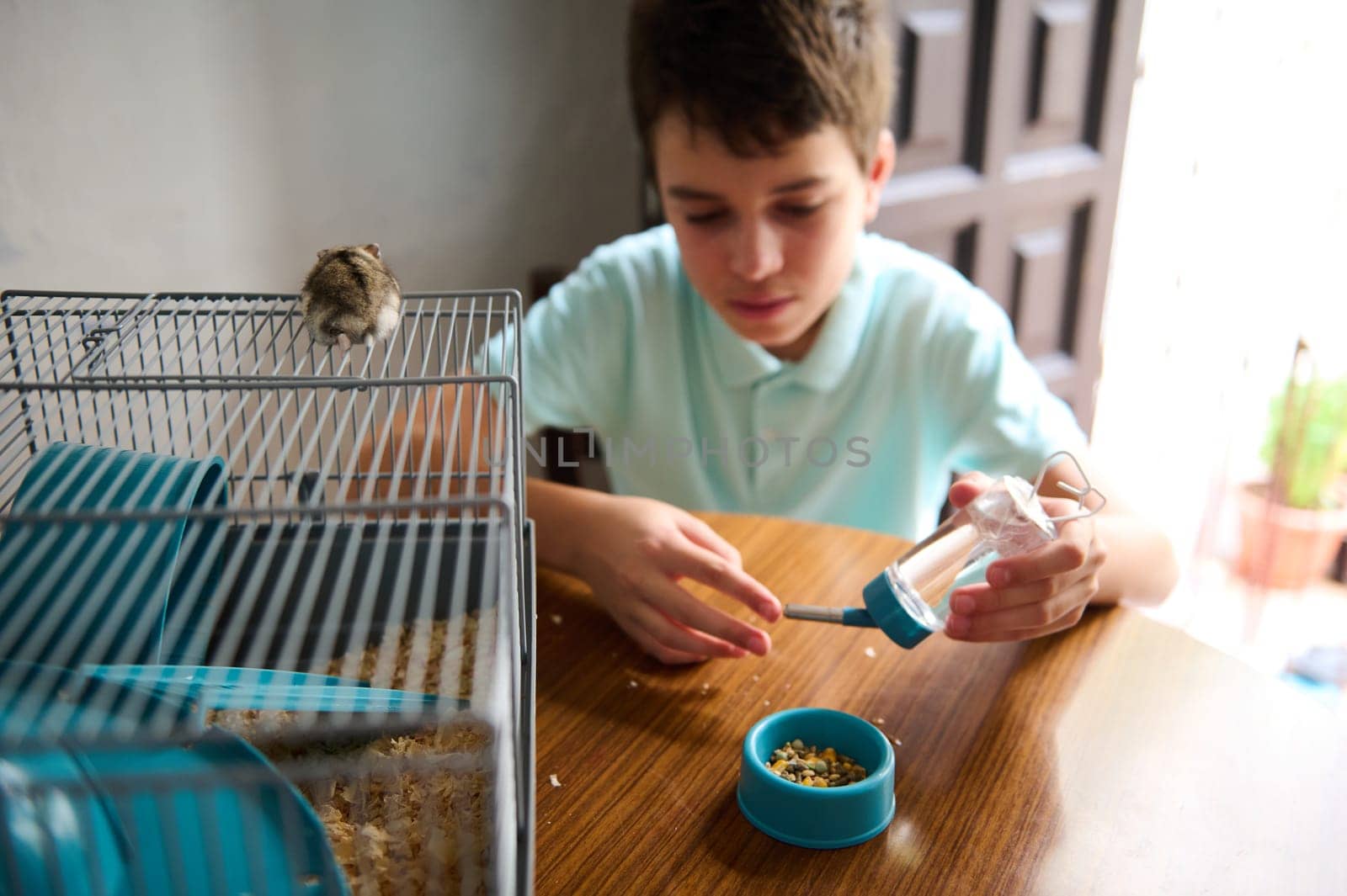 A young boy sits at a table, attending to his pet hamster and its water bottle. The hamster is perched on its cage, creating a lively and wholesome domestic scene showcasing care and responsibility.