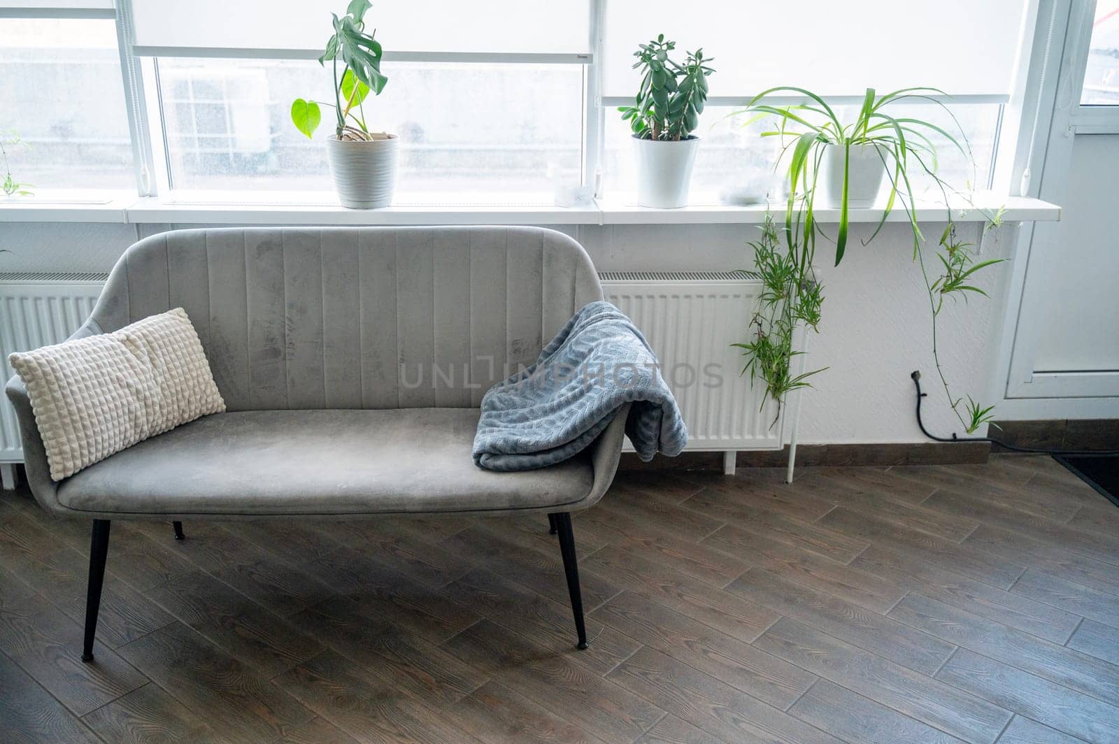 In the living room, there is a gray sofa near a large window. On it is a beige sofa cushion and a gray blanket. There are indoor plants around. Behind the sofa is a huge window and a white radiator.