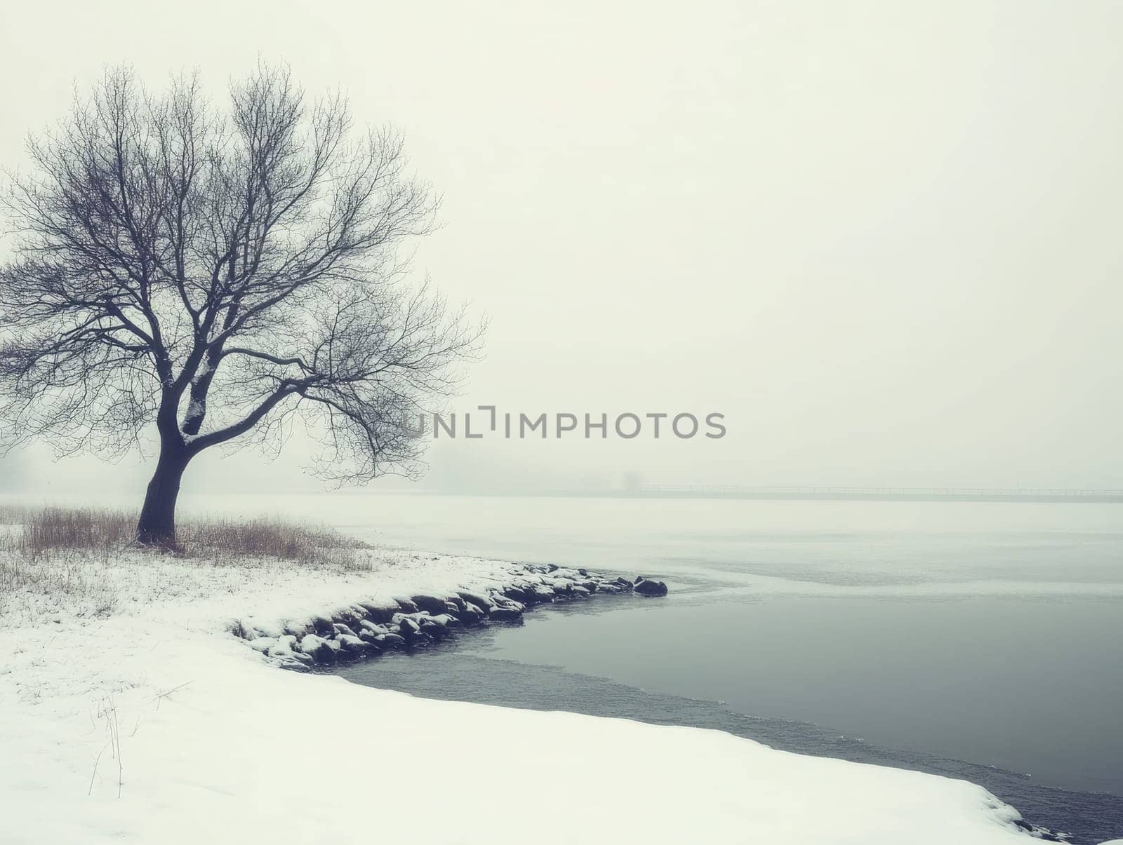 A serene winter scene with a bare tree standing alone on the snow-covered bank of a frozen river. Fog obscures the surroundings, creating a peaceful, quiet atmosphere.