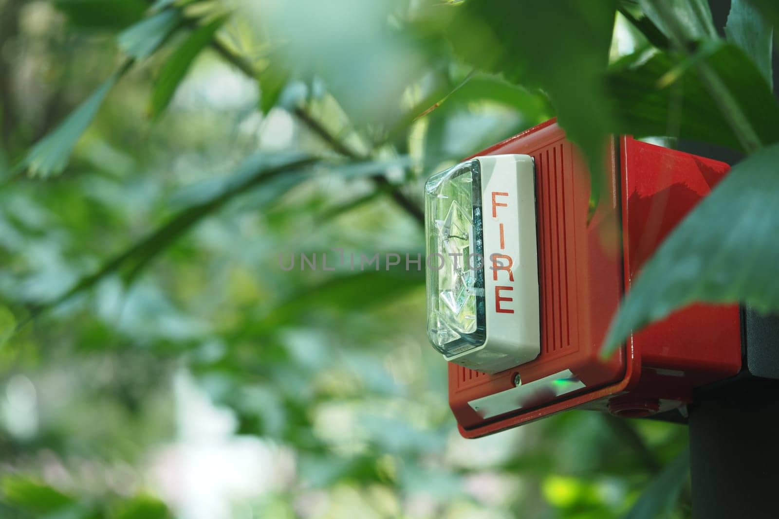 Bright fire alarm is visible among dense green plants, highlighting safety.