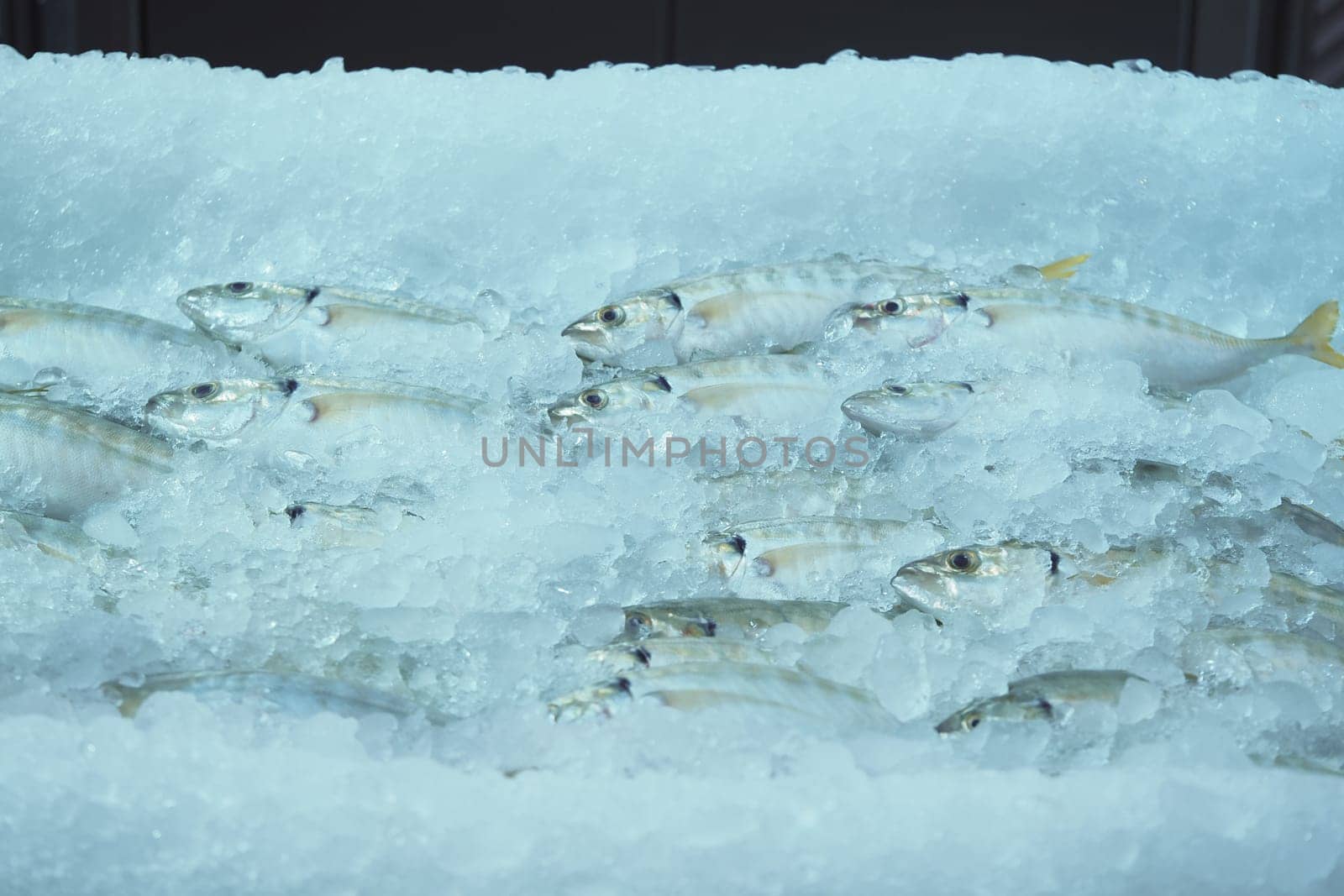 Several types of fish rest on ice at a seafood market during the day.