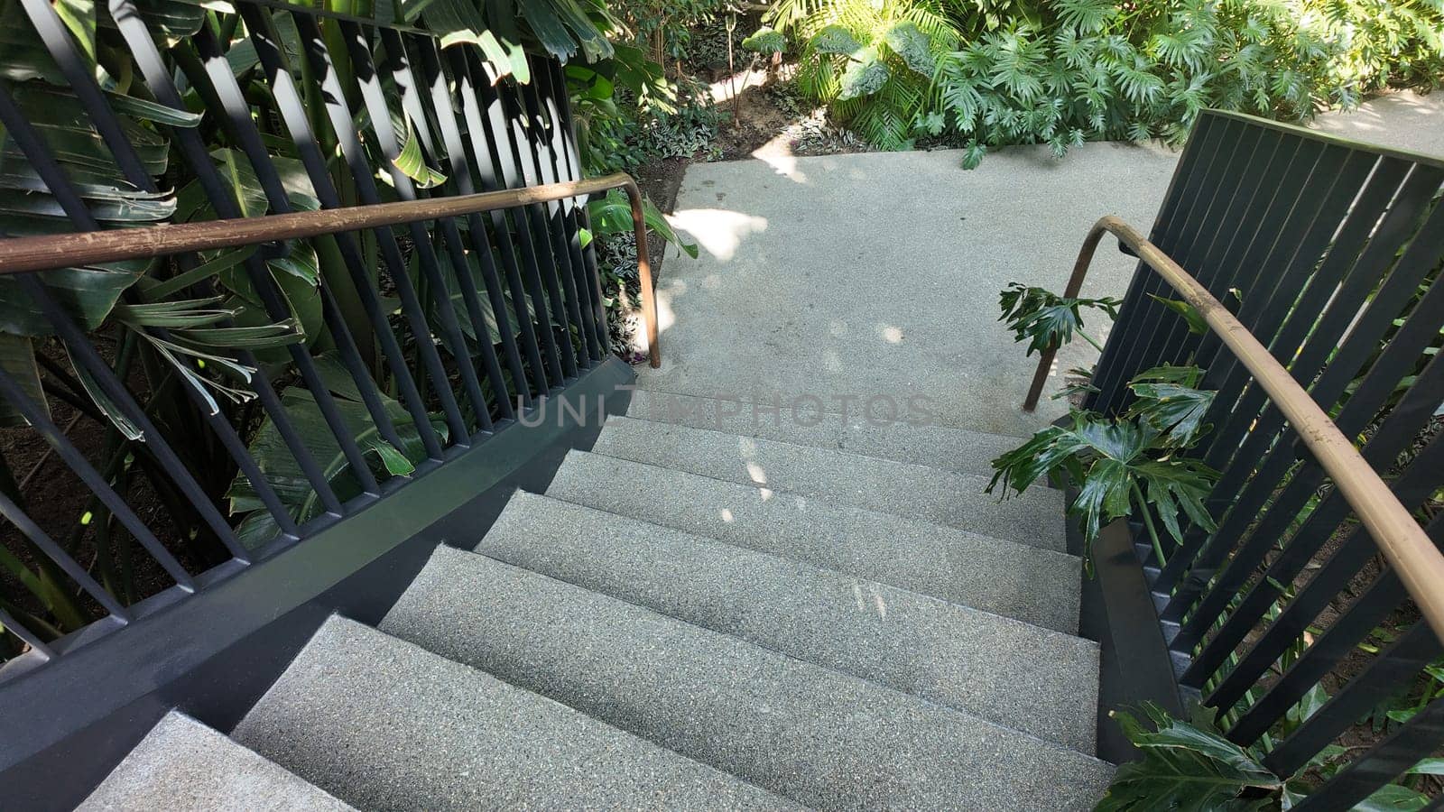Steps descend into a vibrant garden filled with greenery and foliage.