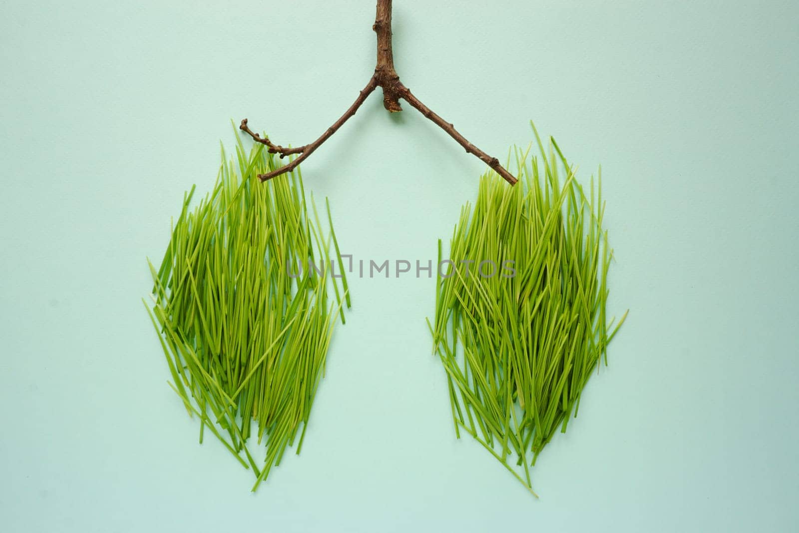 The green grass is laid out in the form of human lungs by Spirina