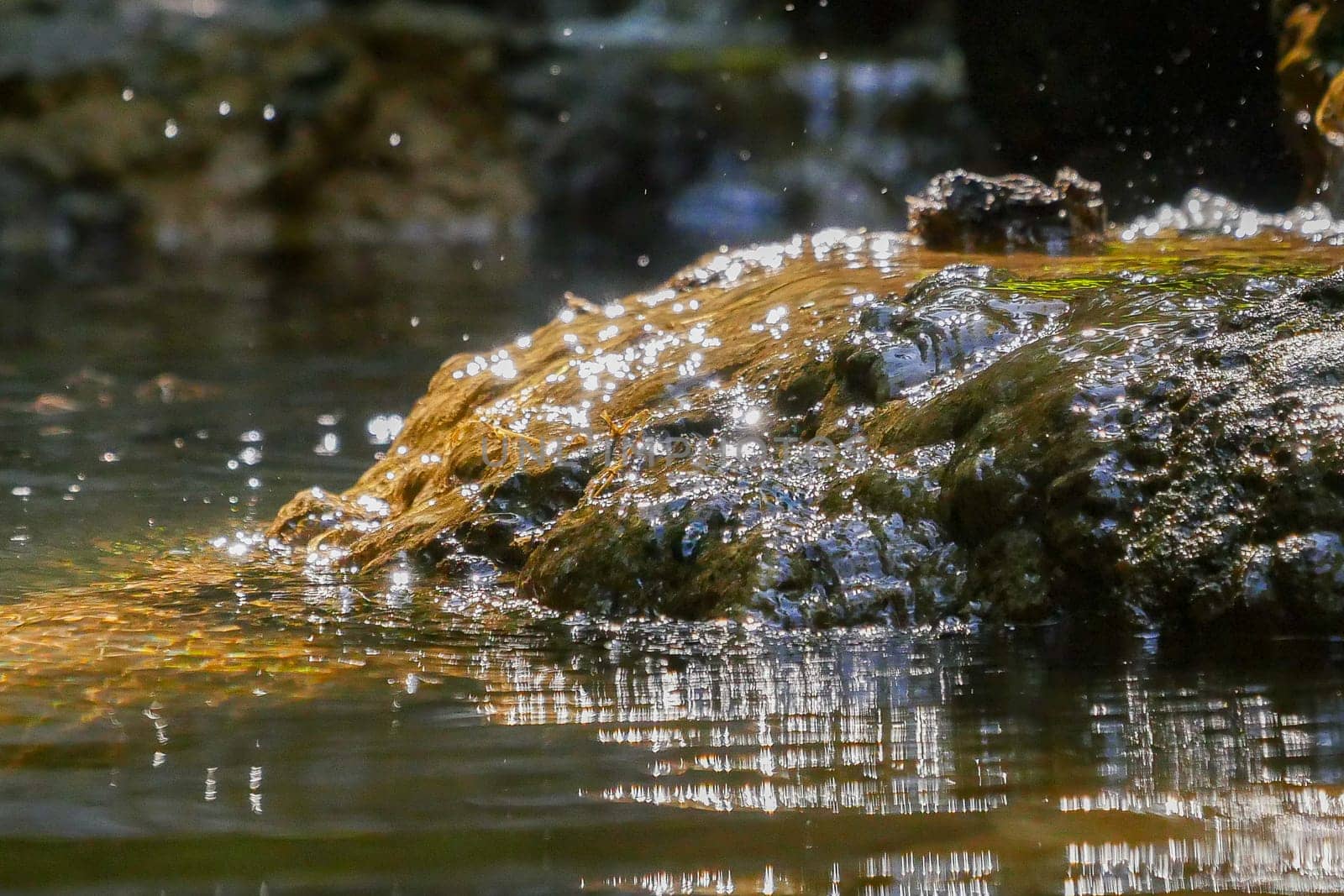 Texture montain river creek stream, High quality photo