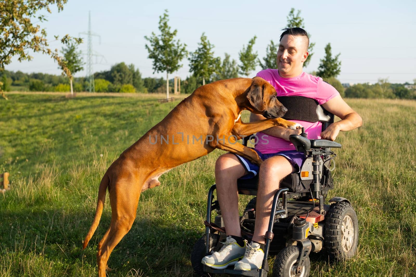 A young man using a wheelchair enjoying playtime with his dog at the park