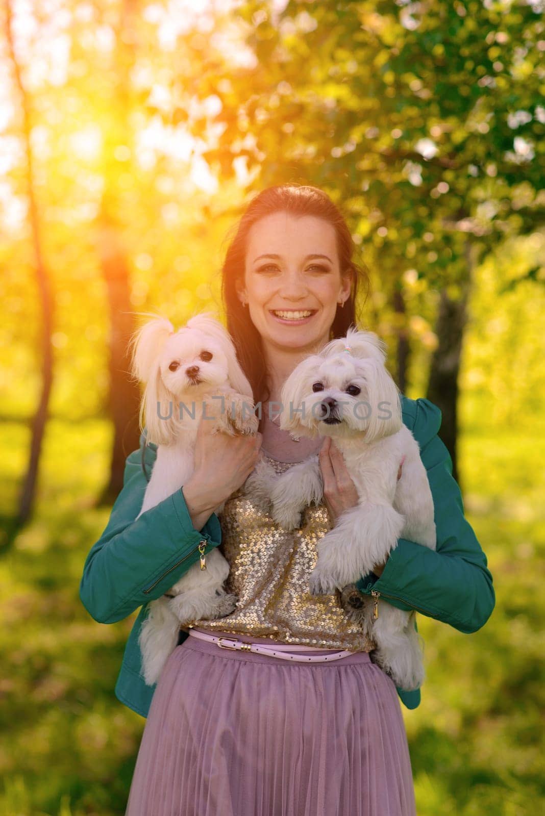 Puppy white dog is running with it's owner. Concept about friendship, animal and freedom.