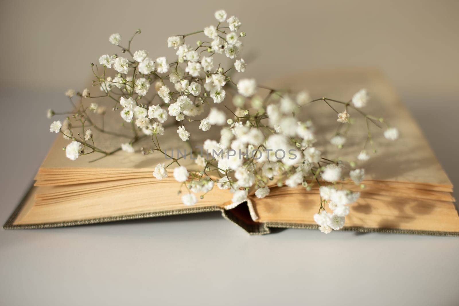 Opened old book with white gypsophila flowers on table close-up. Selective focus. Copy space