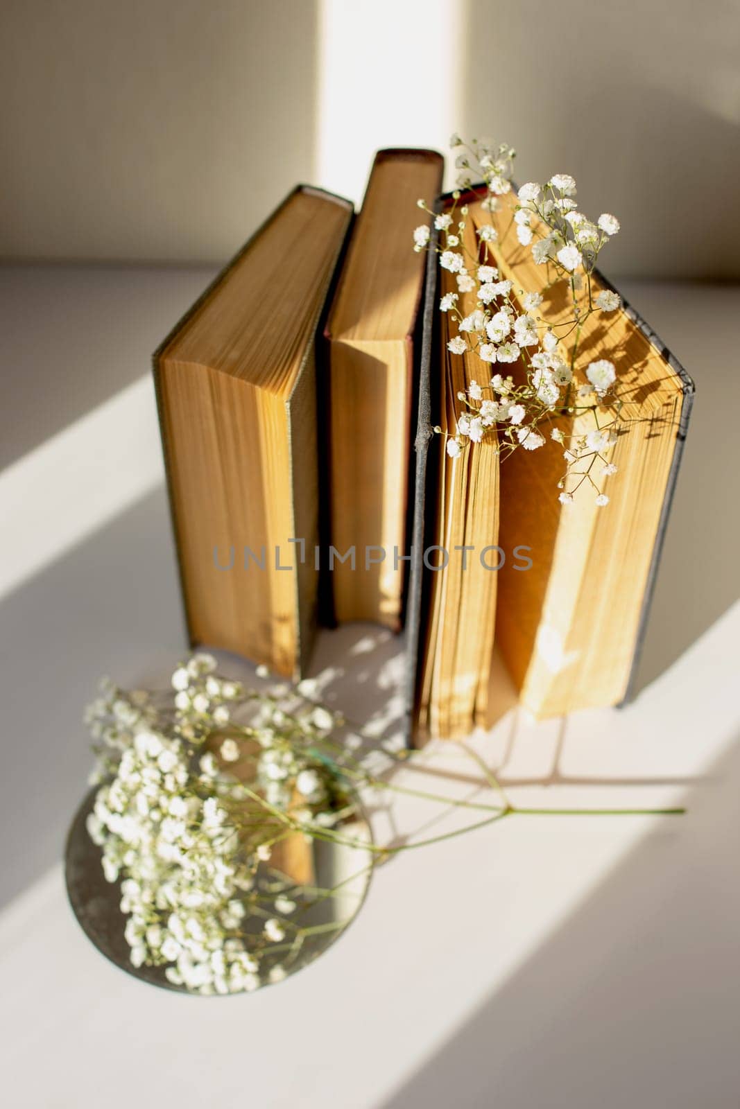 three old books stand next to white gypsophila flowers on a table in sunlight. Vertical. Top