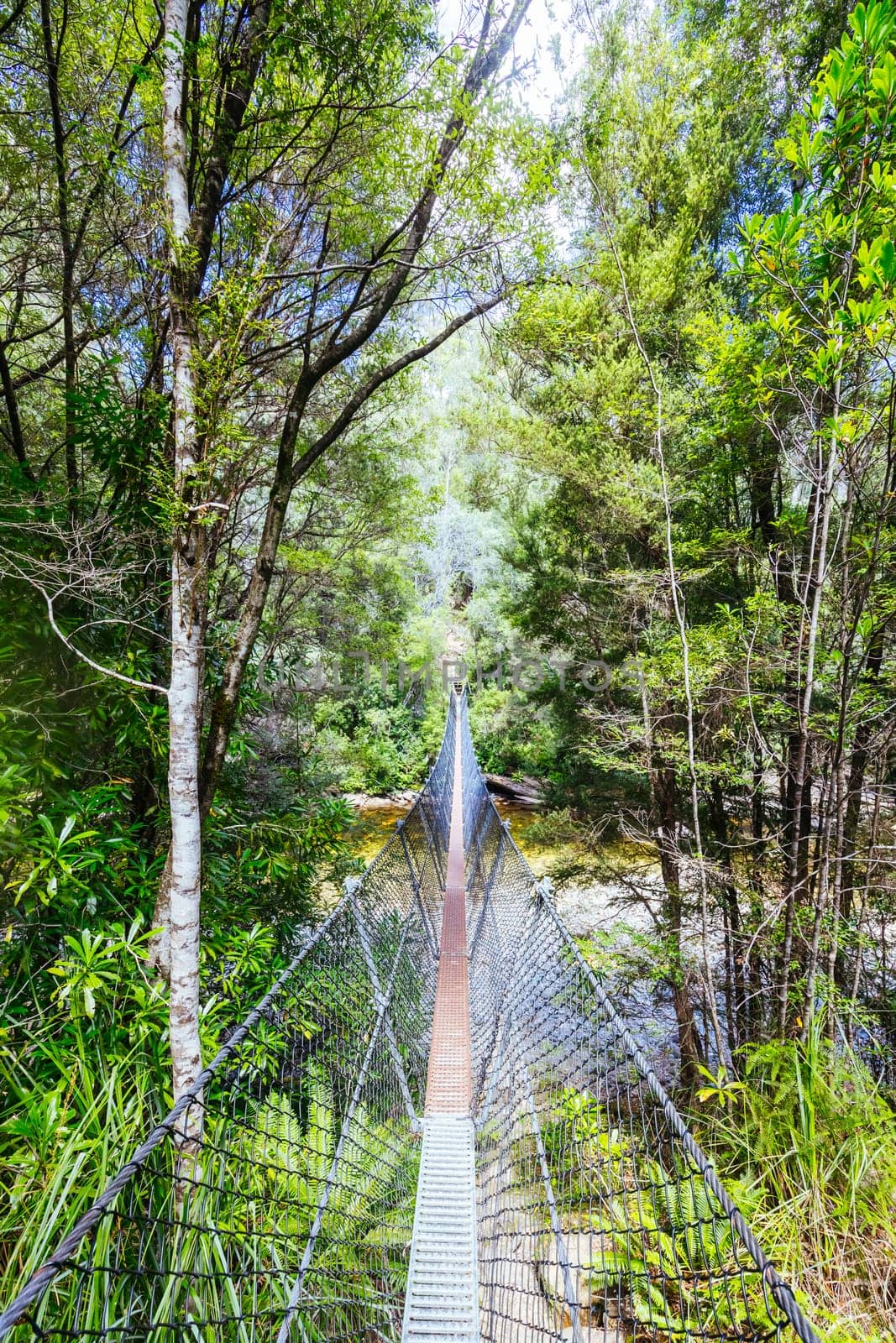 Frenchmans Cap Suspended Bridge in Franklin-Gordon Wild Rivers National Park on a hot summer's day in Tasmania, Australia