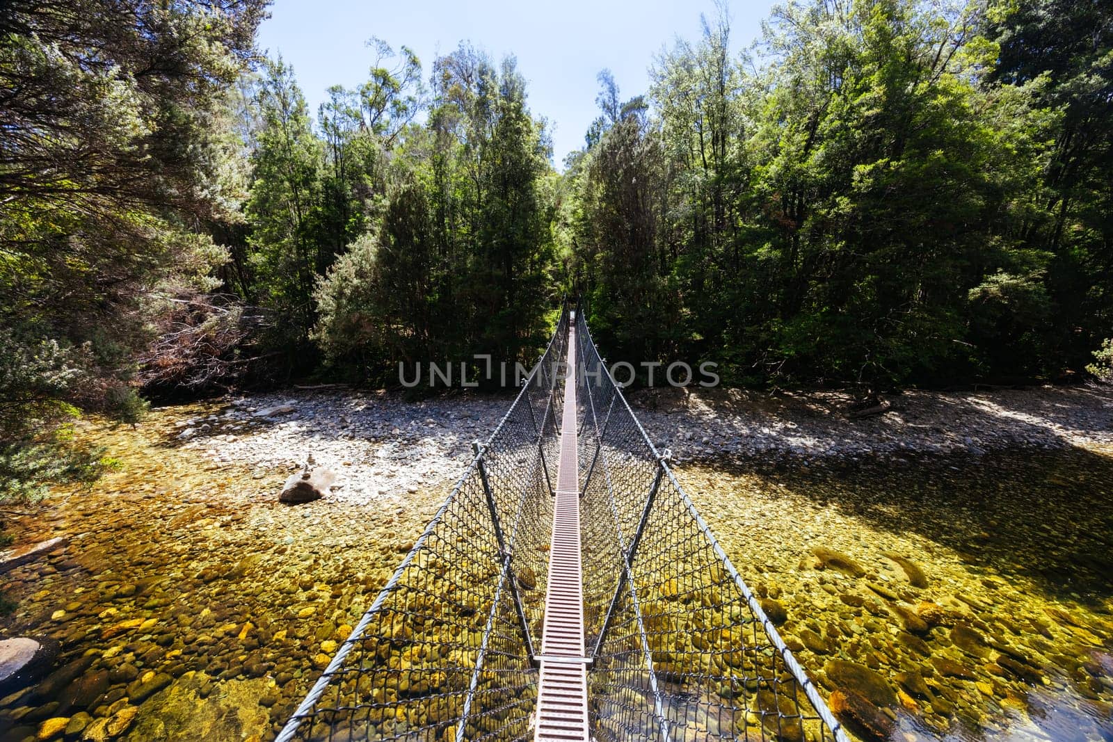 Frenchmans Cap Suspended Bridge in Franklin-Gordon Wild Rivers National Park on a hot summer's day in Tasmania, Australia