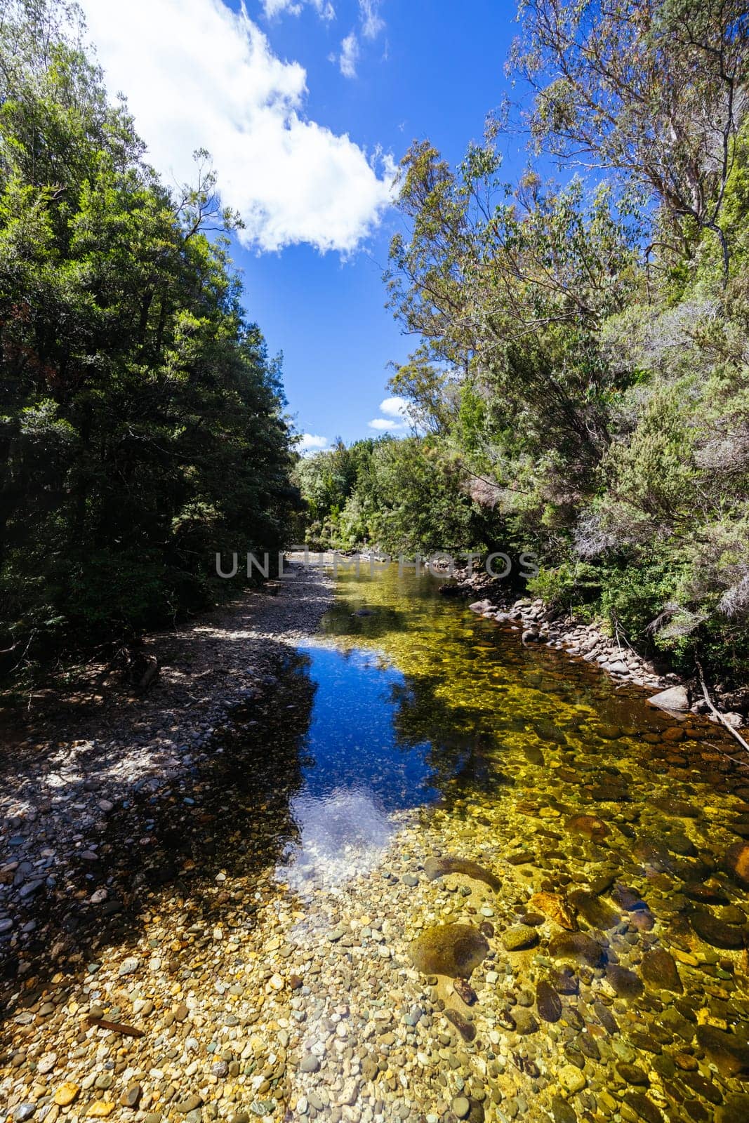 Frenchmans Cap Suspended Bridge in Franklin-Gordon Wild Rivers National Park on a hot summer's day in Tasmania, Australia