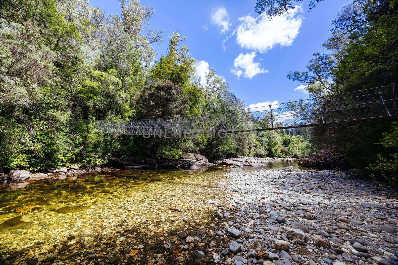 Frenchmans Cap Suspended Bridge in Franklin-Gordon Wild Rivers National Park on a hot summer's day in Tasmania, Australia