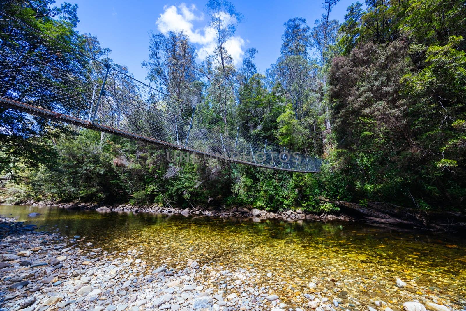 Frenchmans Cap Suspended Bridge in Franklin-Gordon Wild Rivers National Park on a hot summer's day in Tasmania, Australia