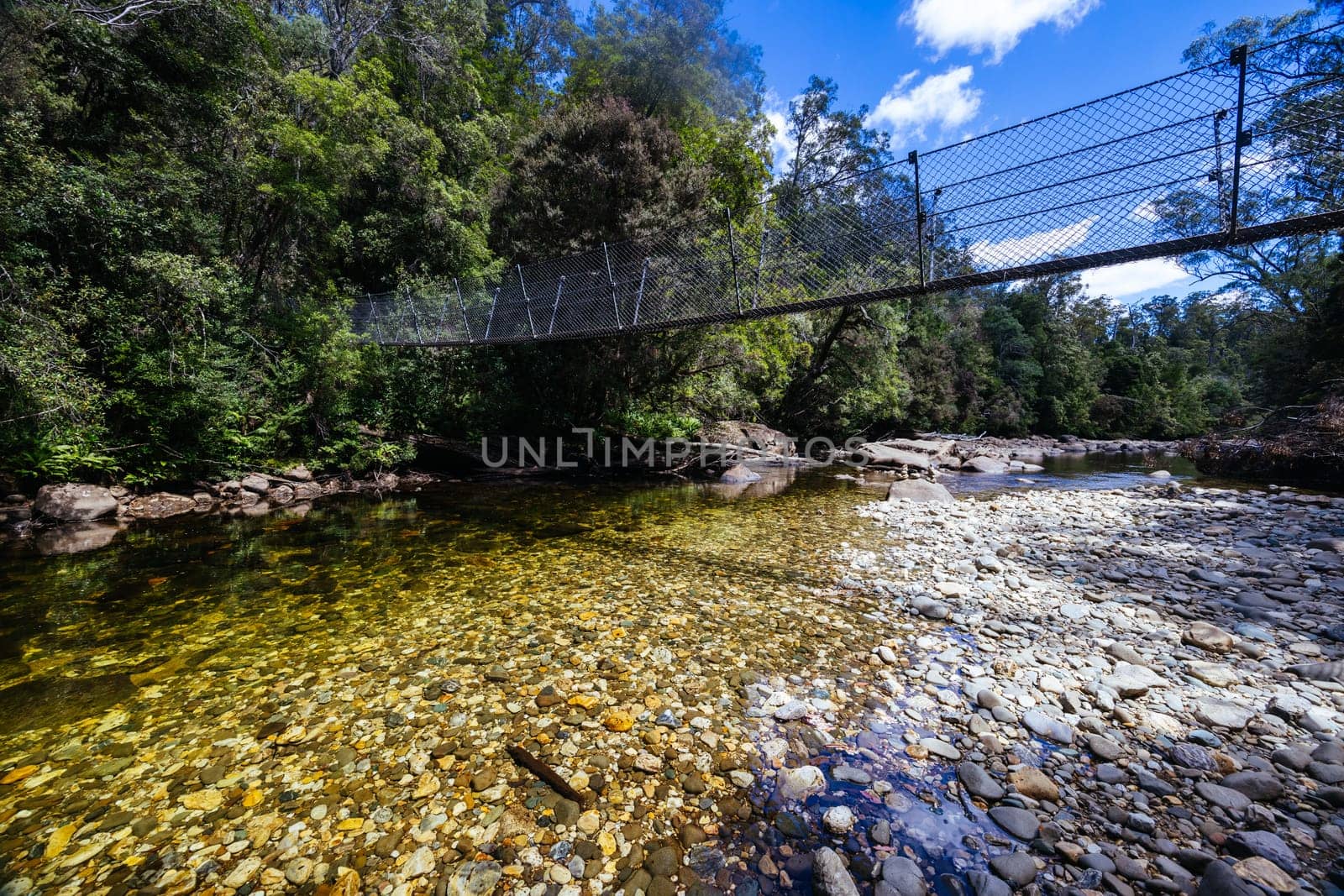 Frenchmans Cap Suspended Bridge in Franklin-Gordon Wild Rivers National Park on a hot summer's day in Tasmania, Australia