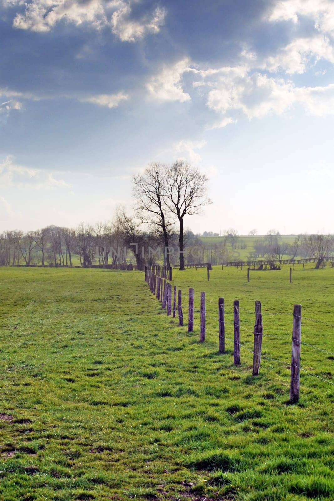 Fence
