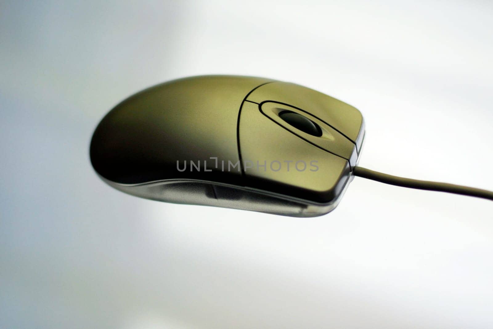 Mouse