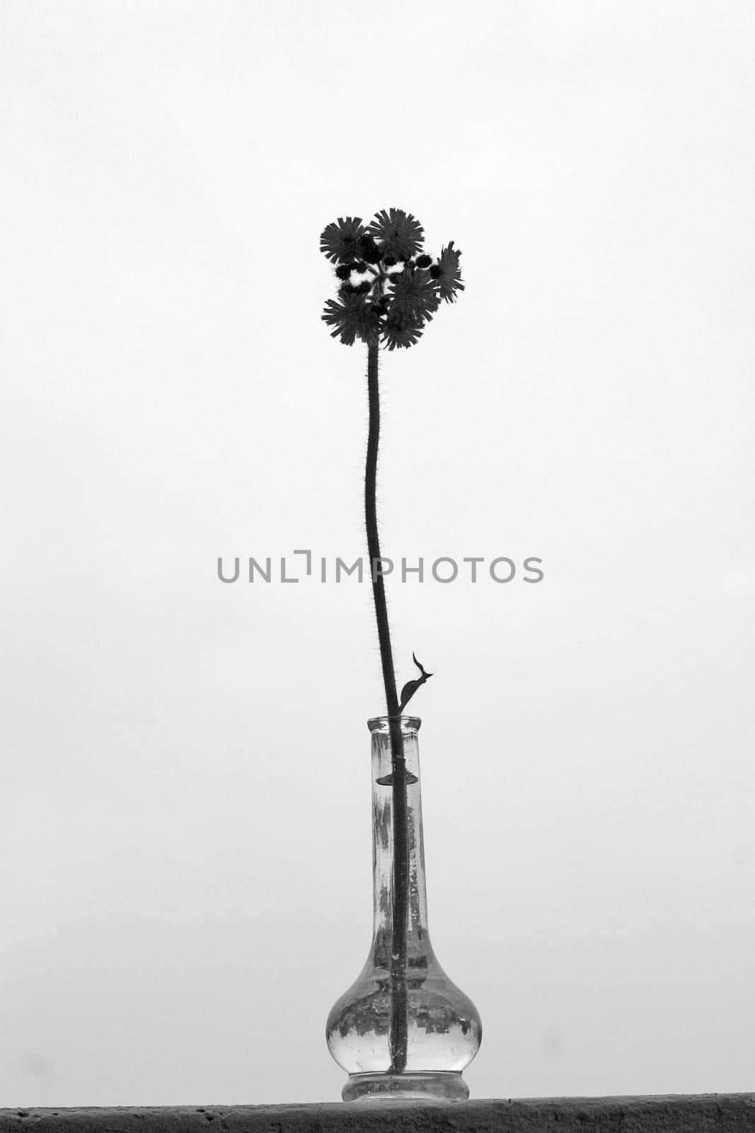 Flower vase