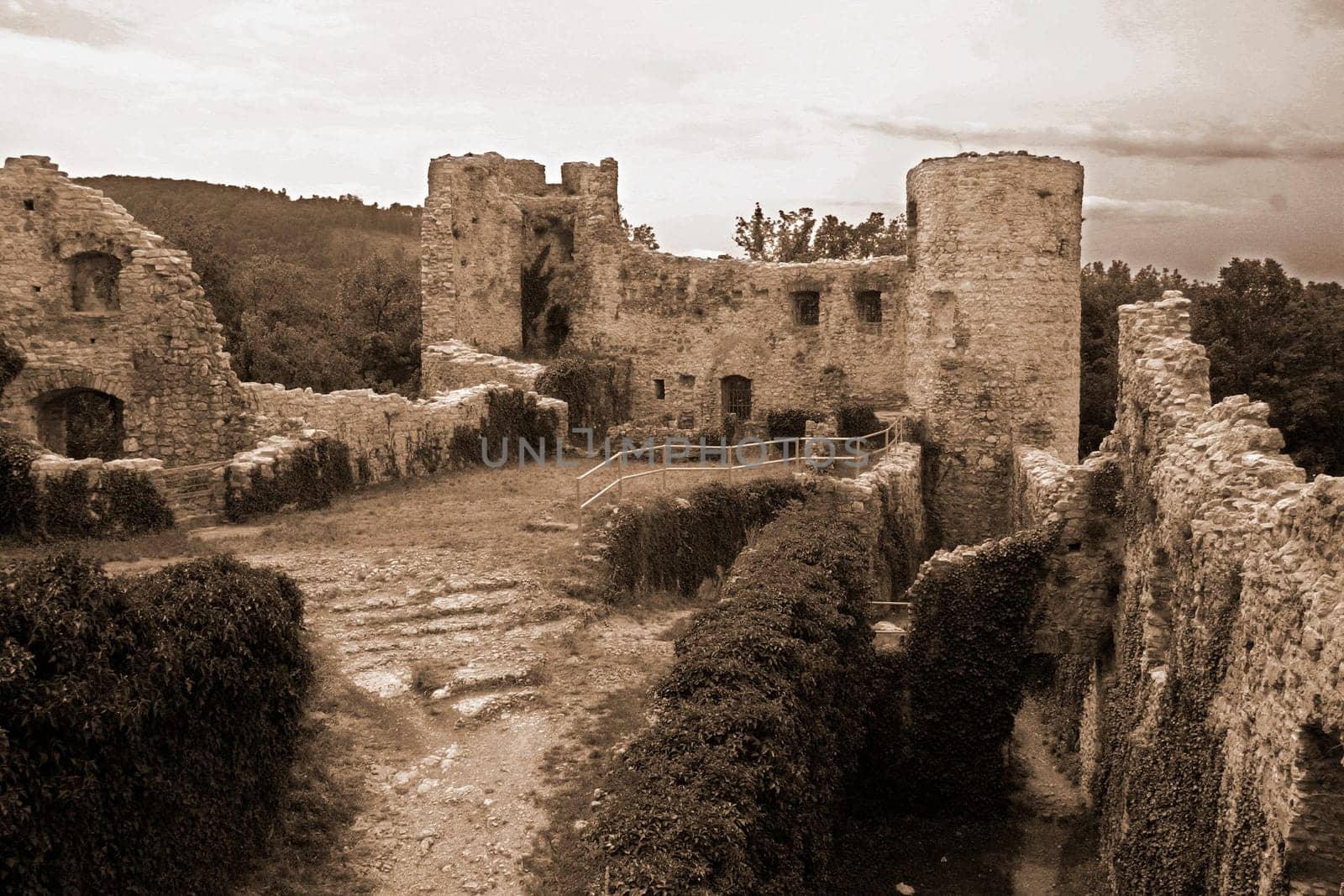 Castle