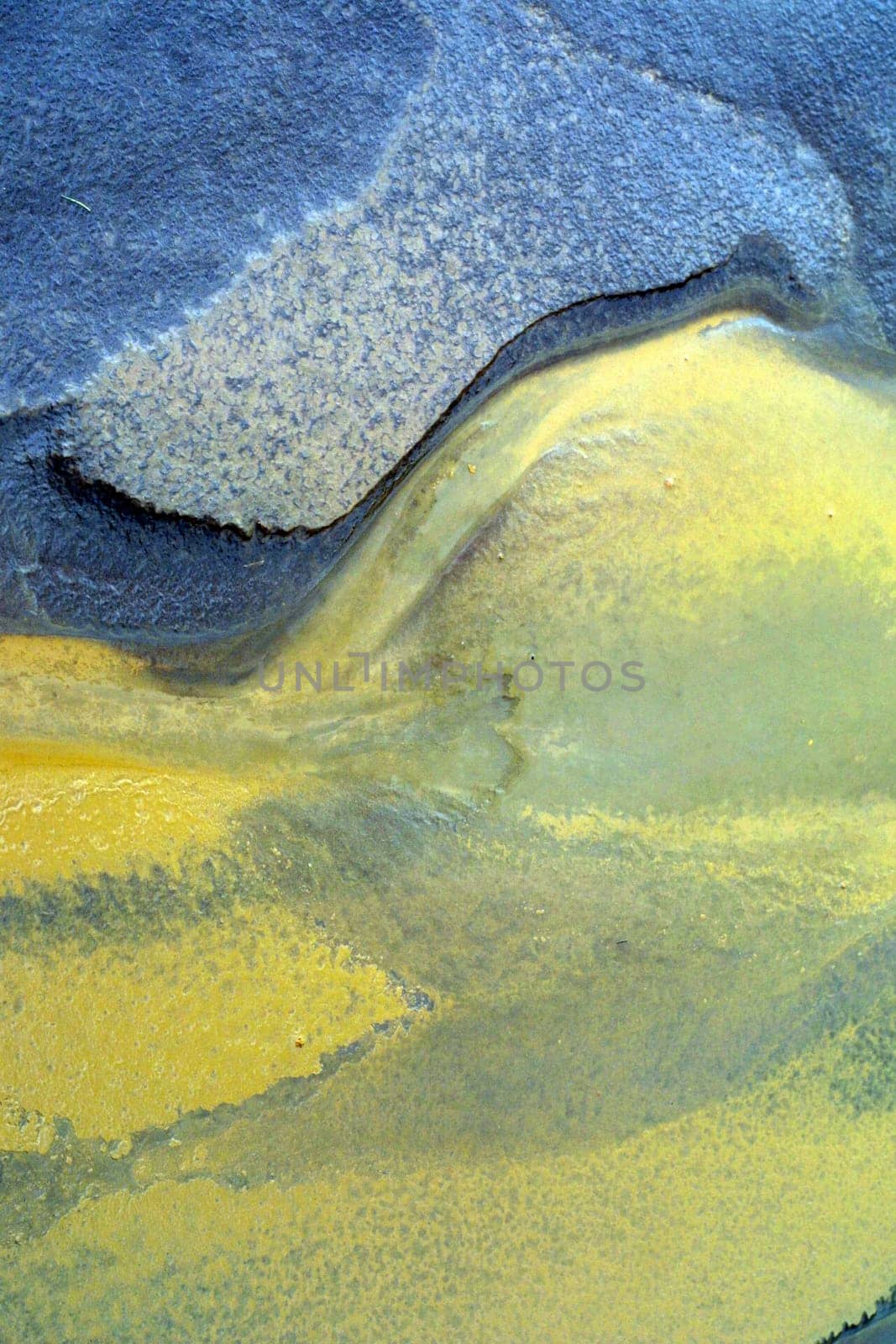 Nature Painting