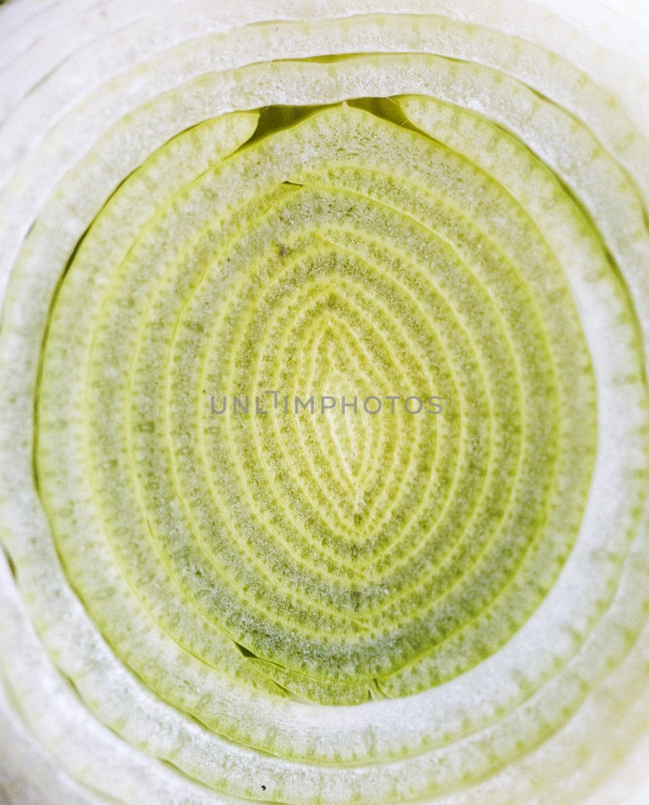 Onion