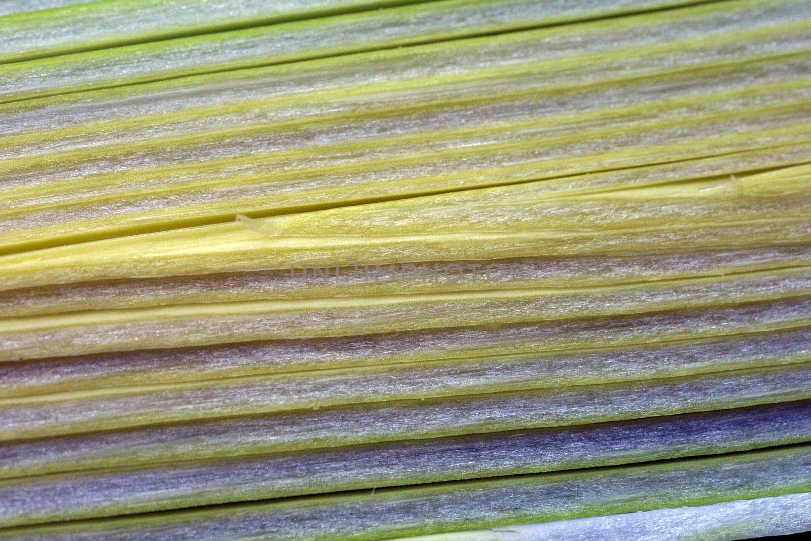 Cross section